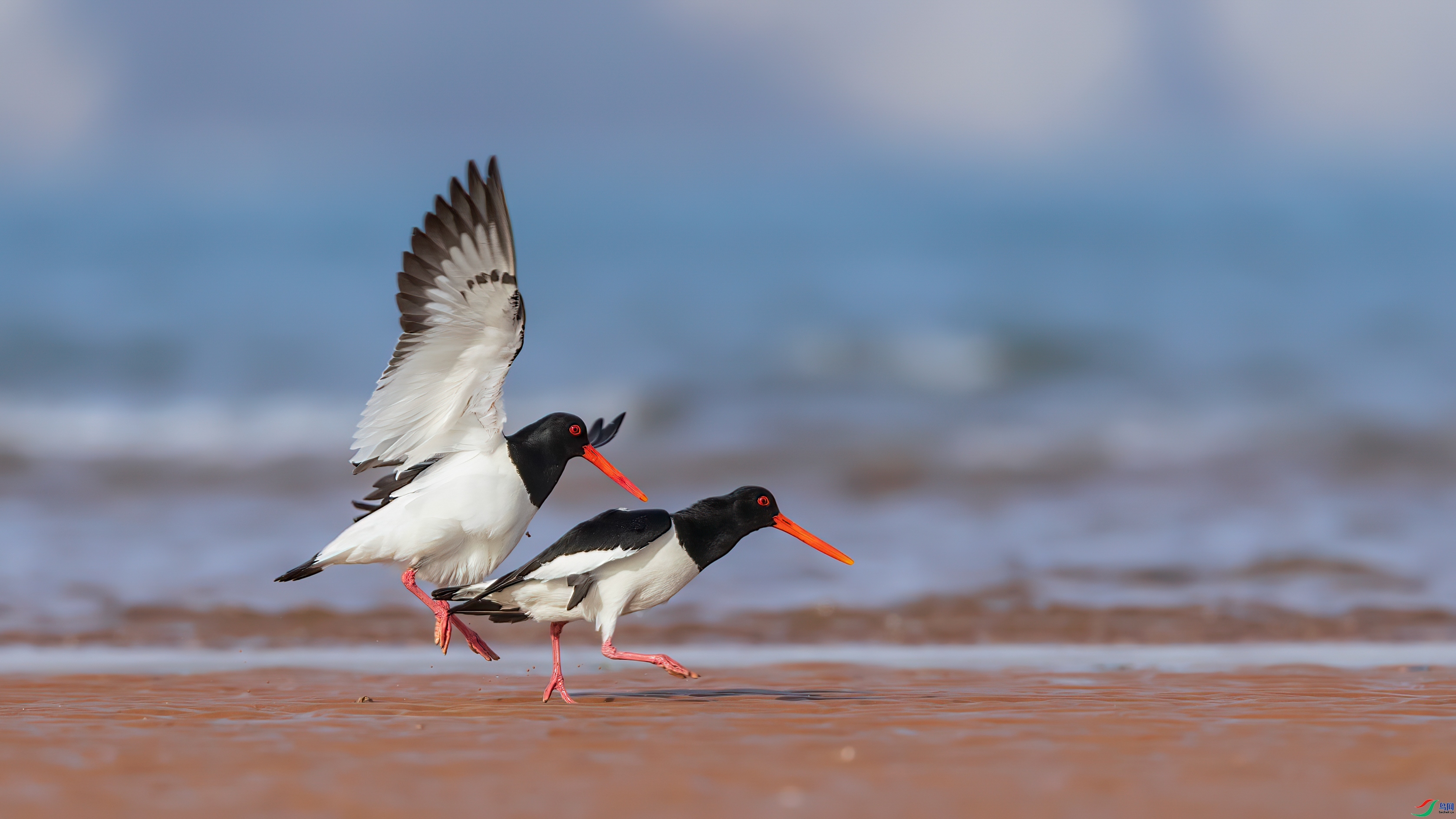 ��֮�� ���� �Ű� ��һ.jpg