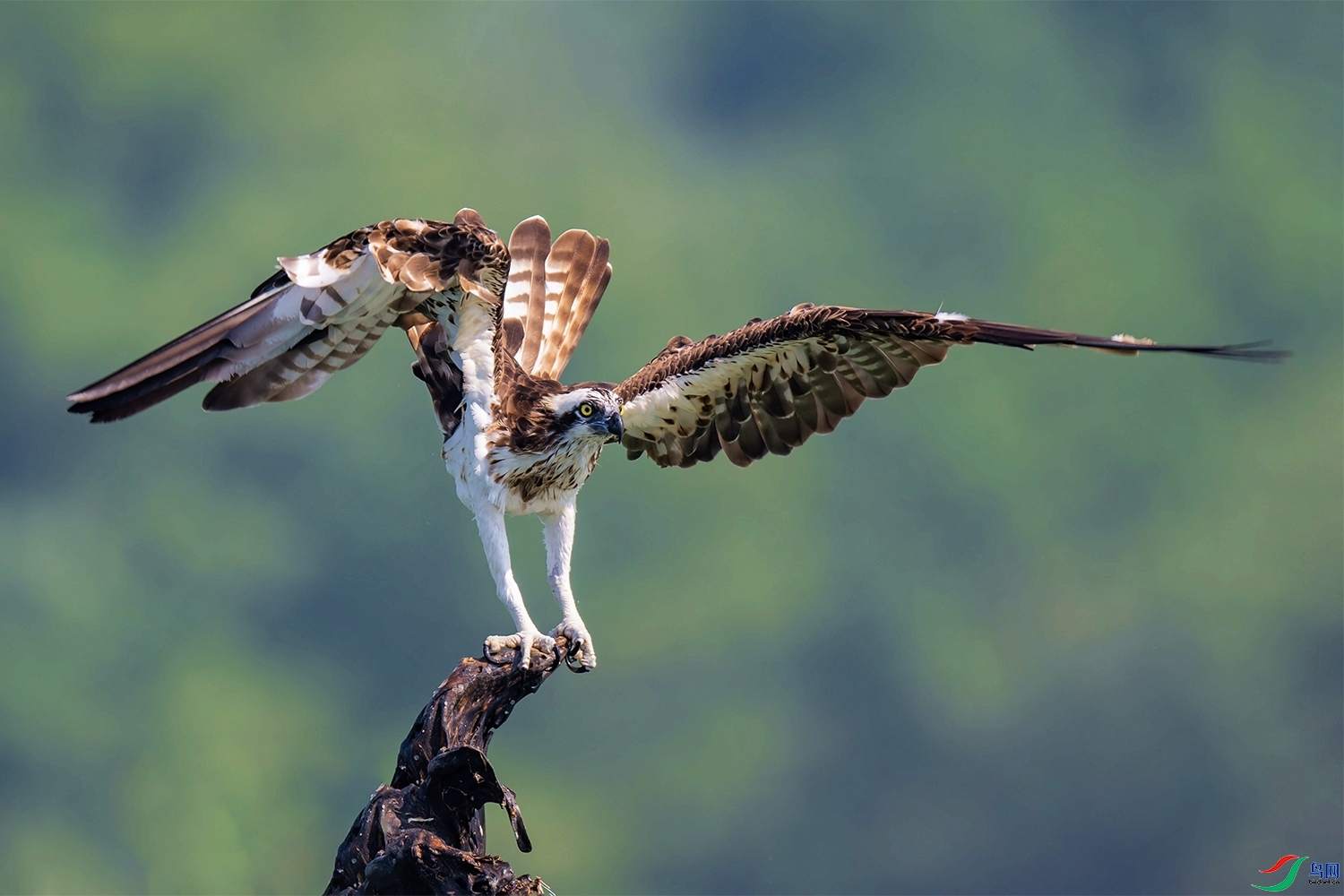 ����  ���� ͧ�� ��һ.jpg