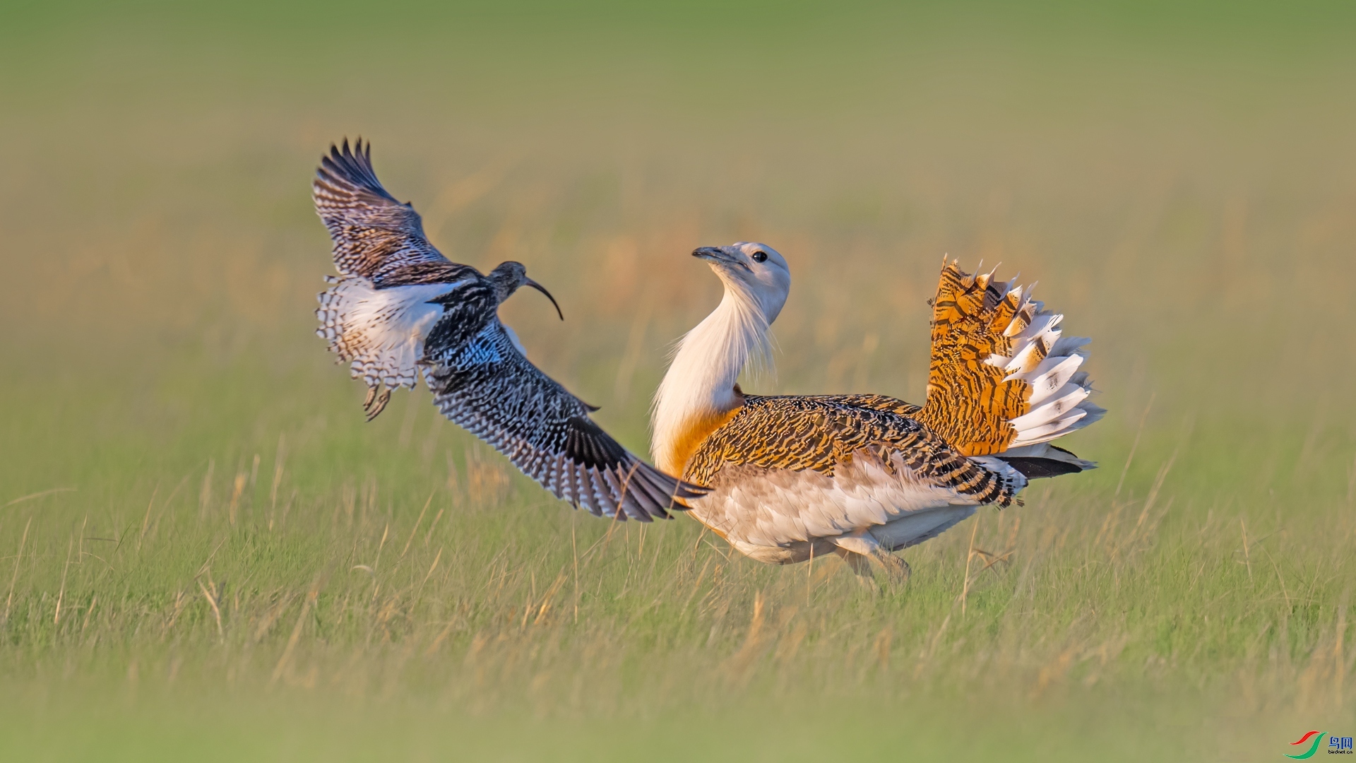 ��·��� ���� ���� �ܶ�.jpg