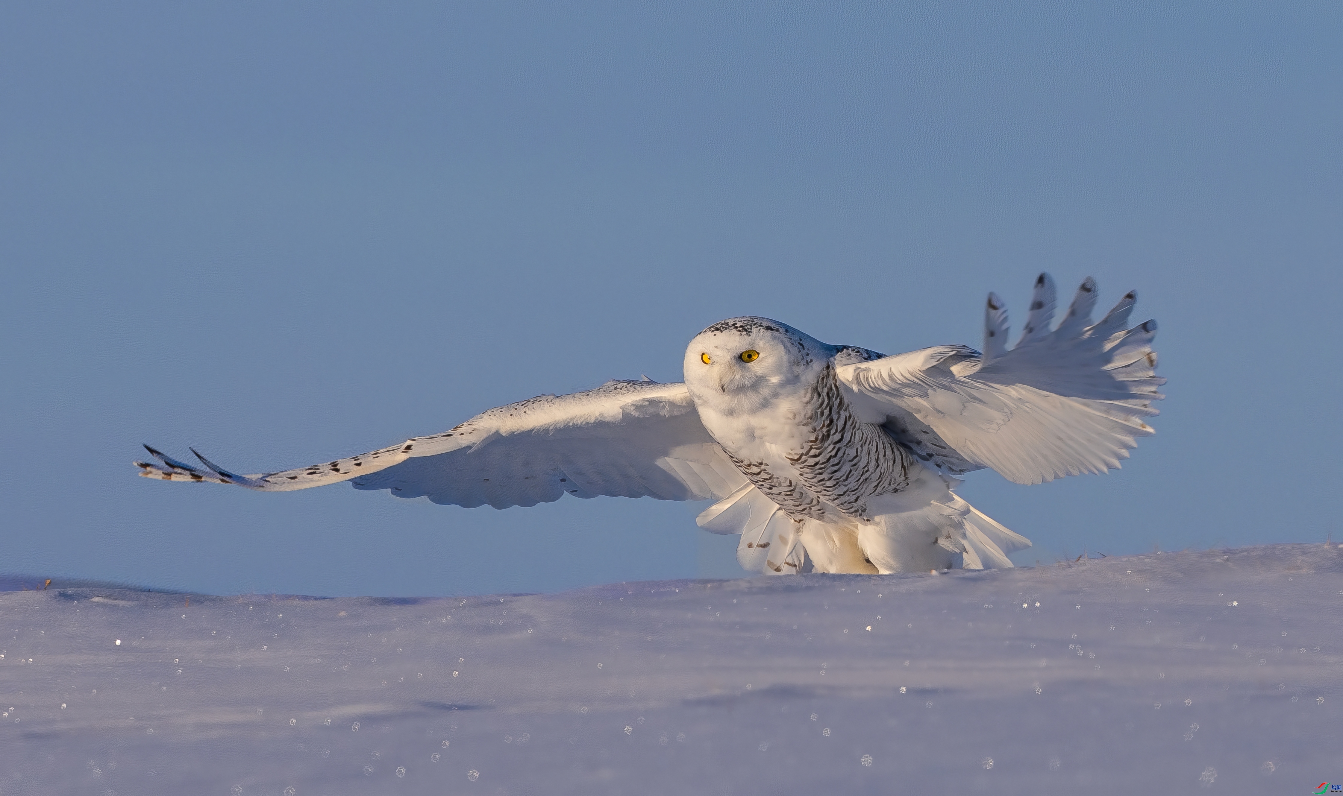 �������� ���� �ܷ� �ܶ�.jpeg