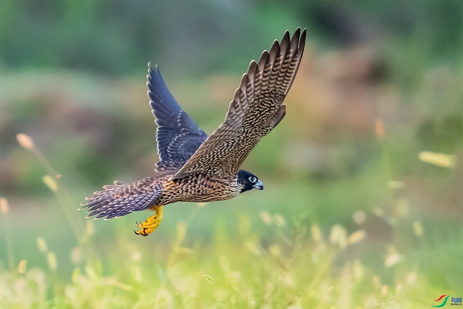 ���Ϸ�  ���� ͧ�� ����.jpg