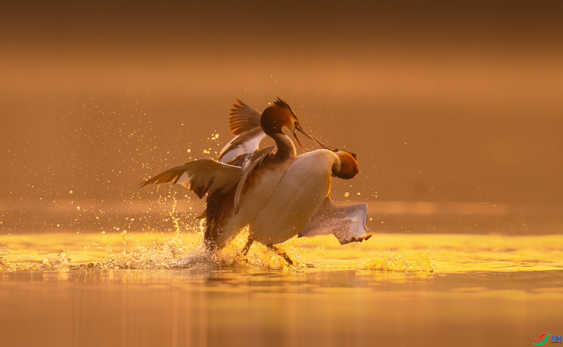 ��ʤһ�� ���� ����  ����.jpg