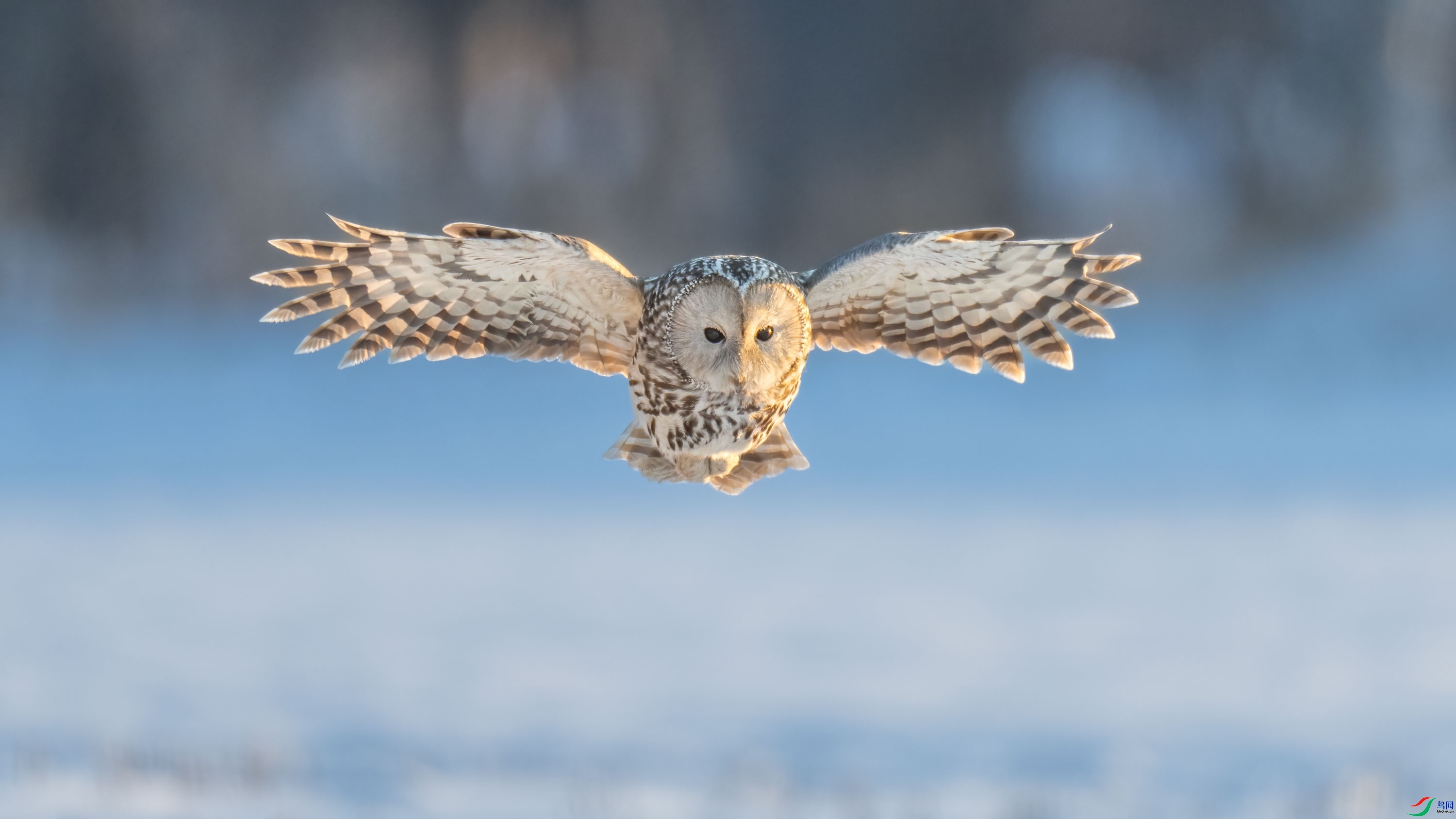 ��β���^ ���� ���� ����.jpg