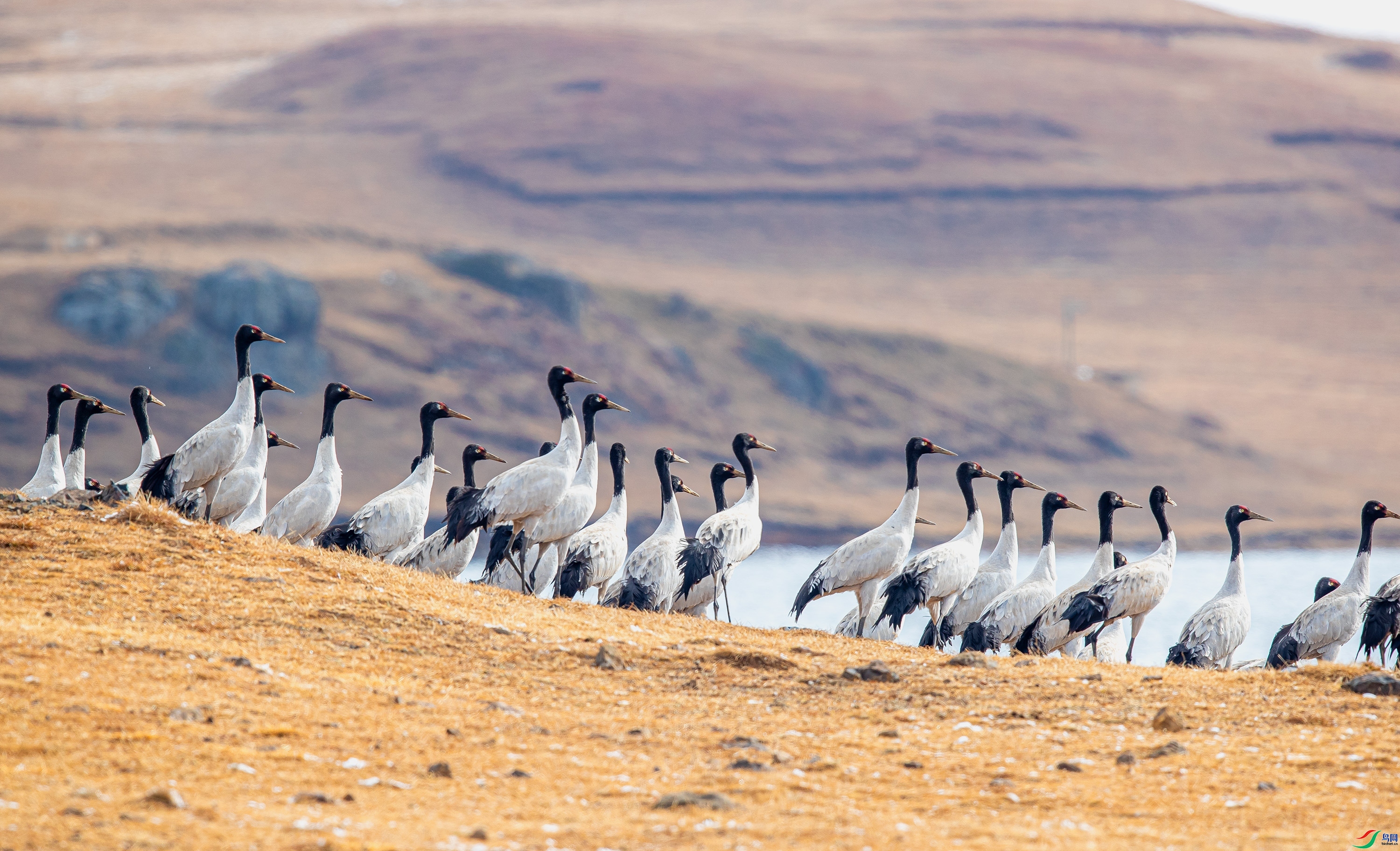 ����  ���� ƽ�� ����.jpg