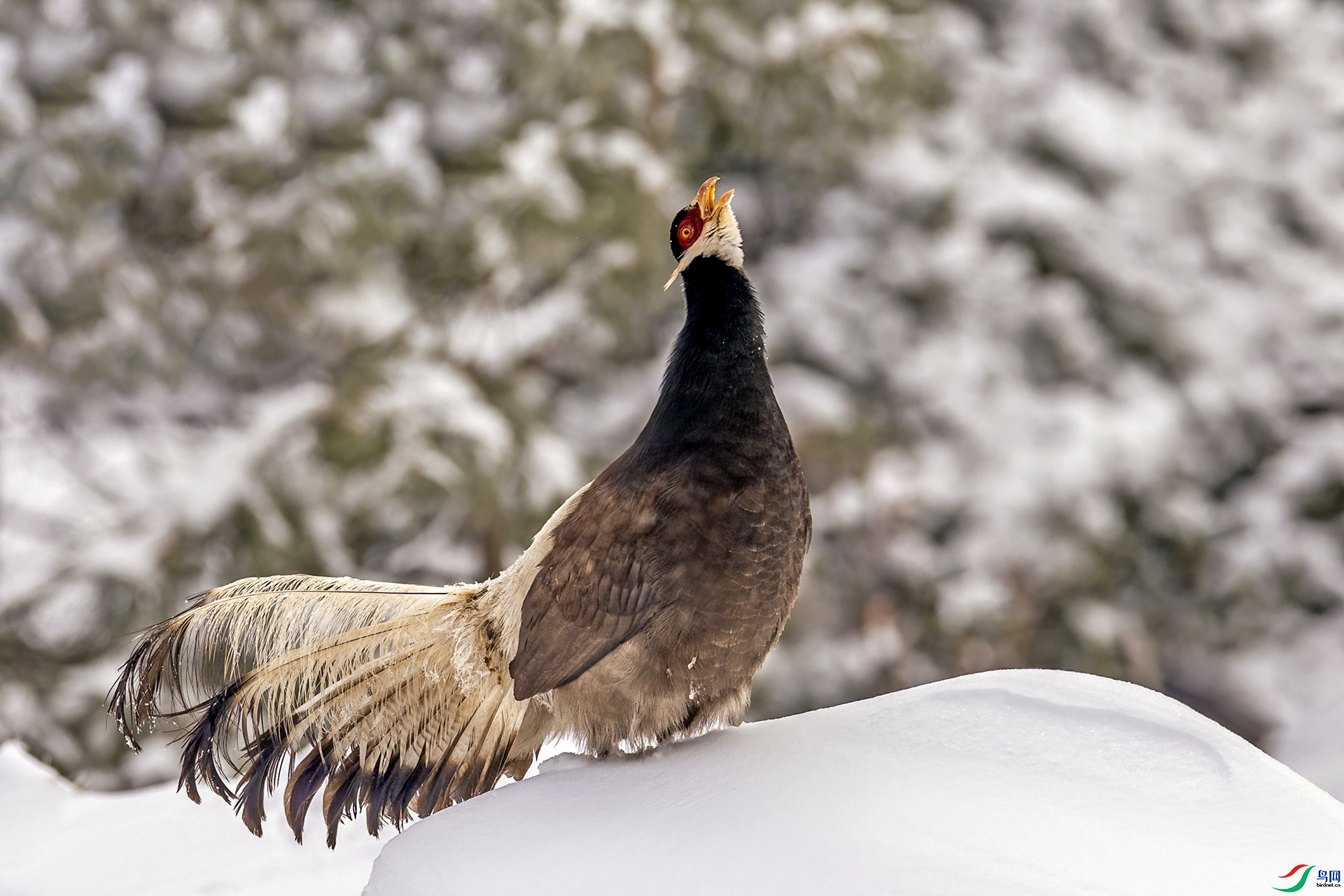 ����  ���� ������ ����.jpg