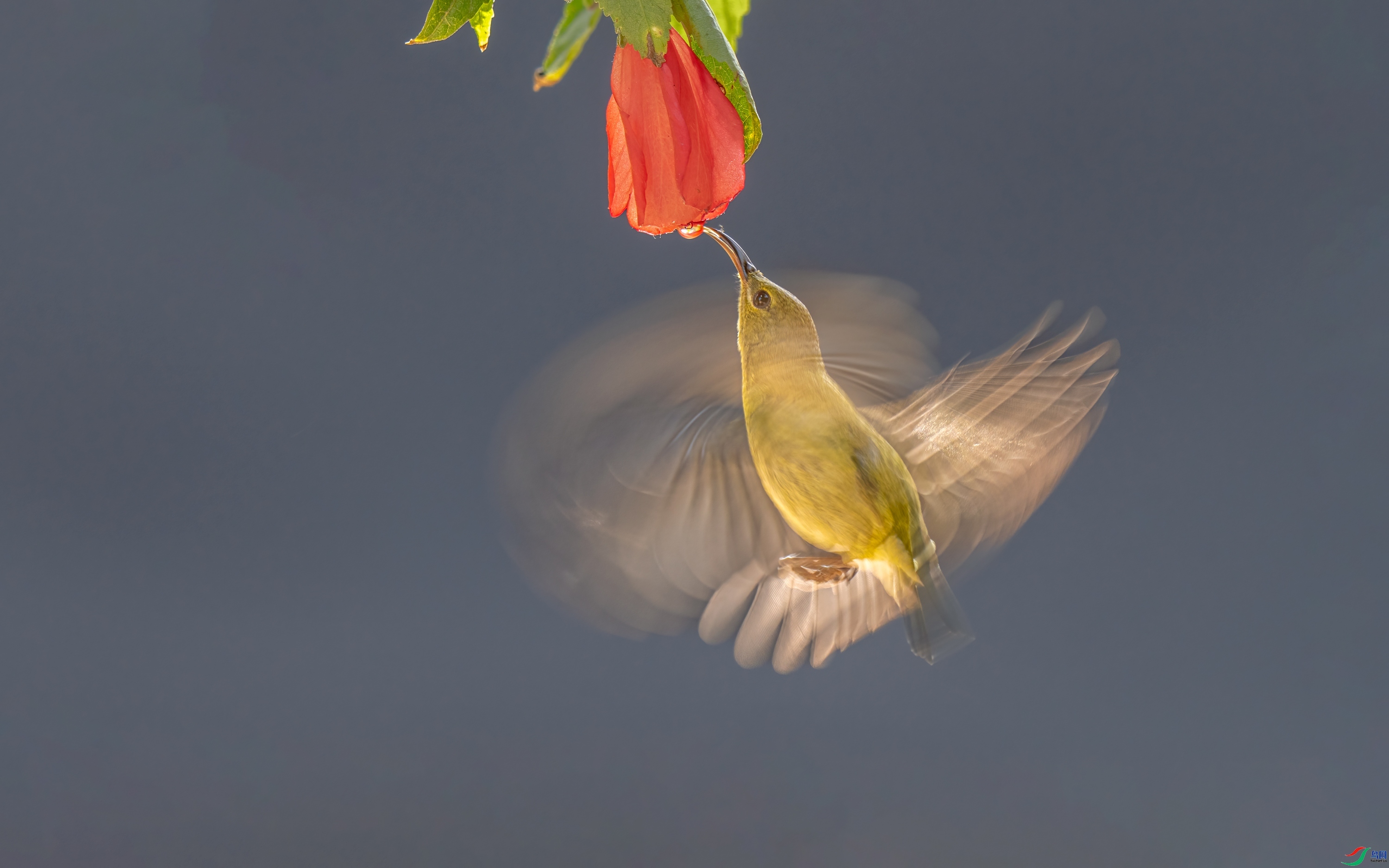 ��ͣ��ʳ ���� ����.jpg