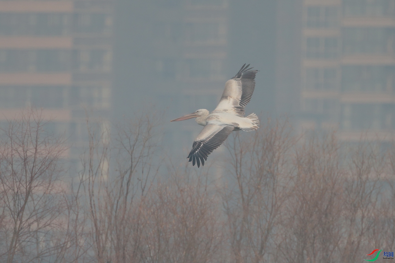 1-AL1T3307.jpg