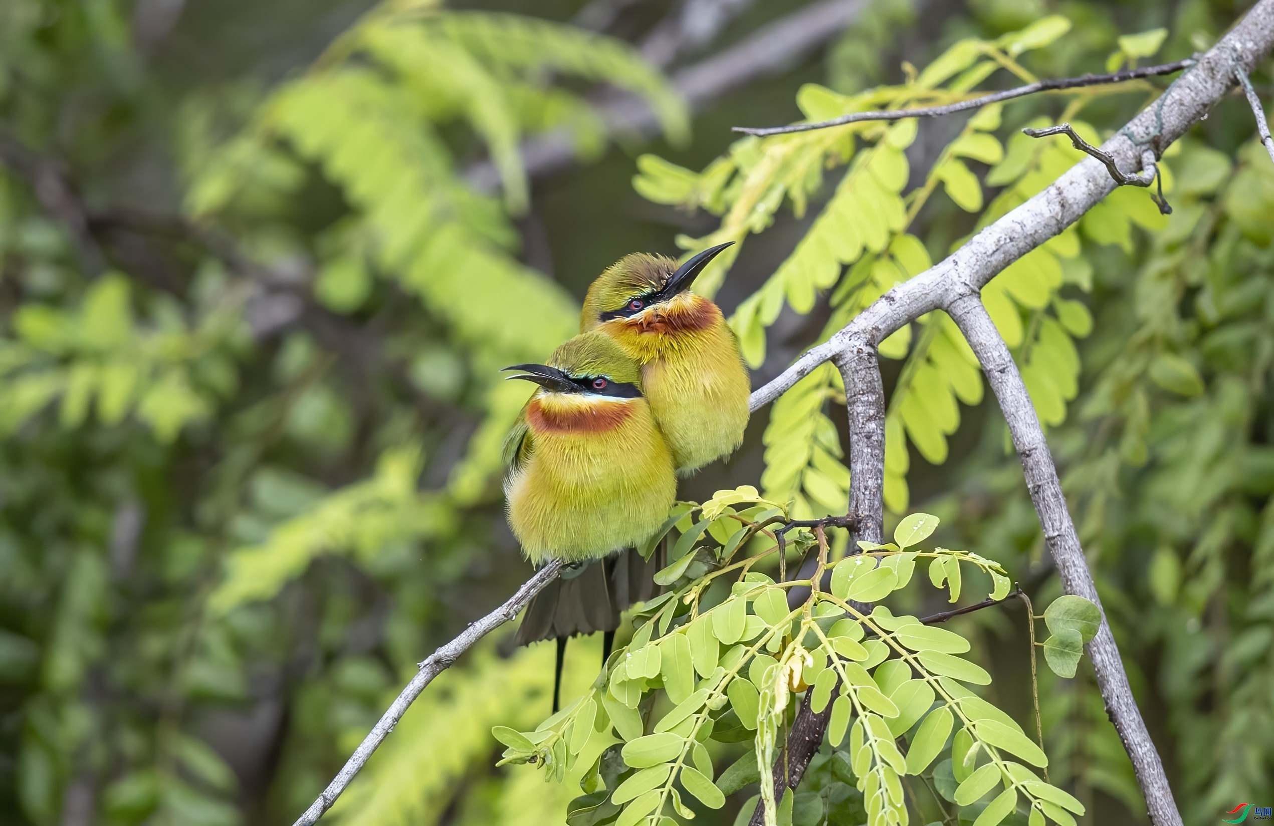 ���ҹ۲�  ���� ����  ����.jpg