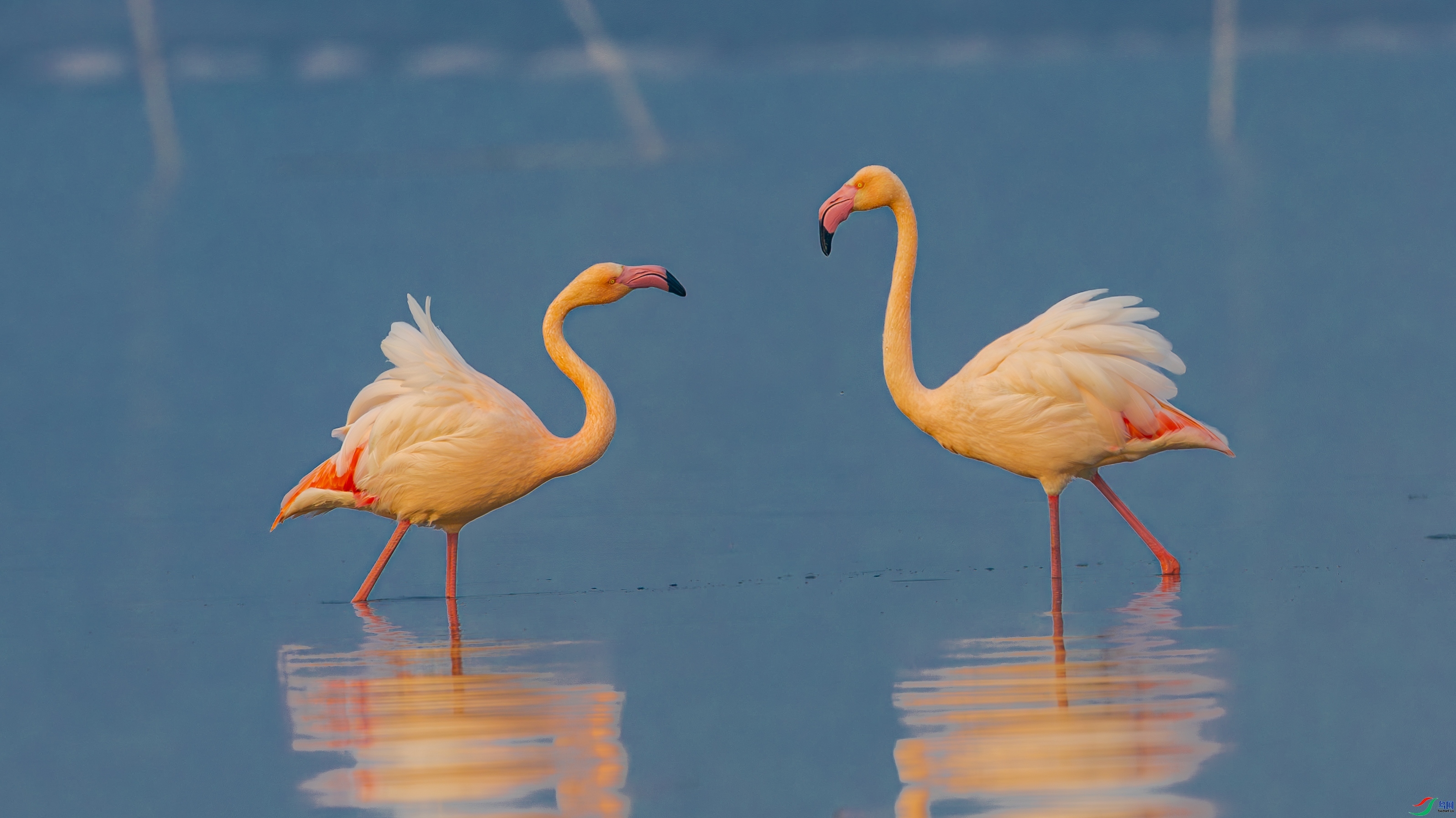 Ϸ  ���� �䱾����  ����.jpg