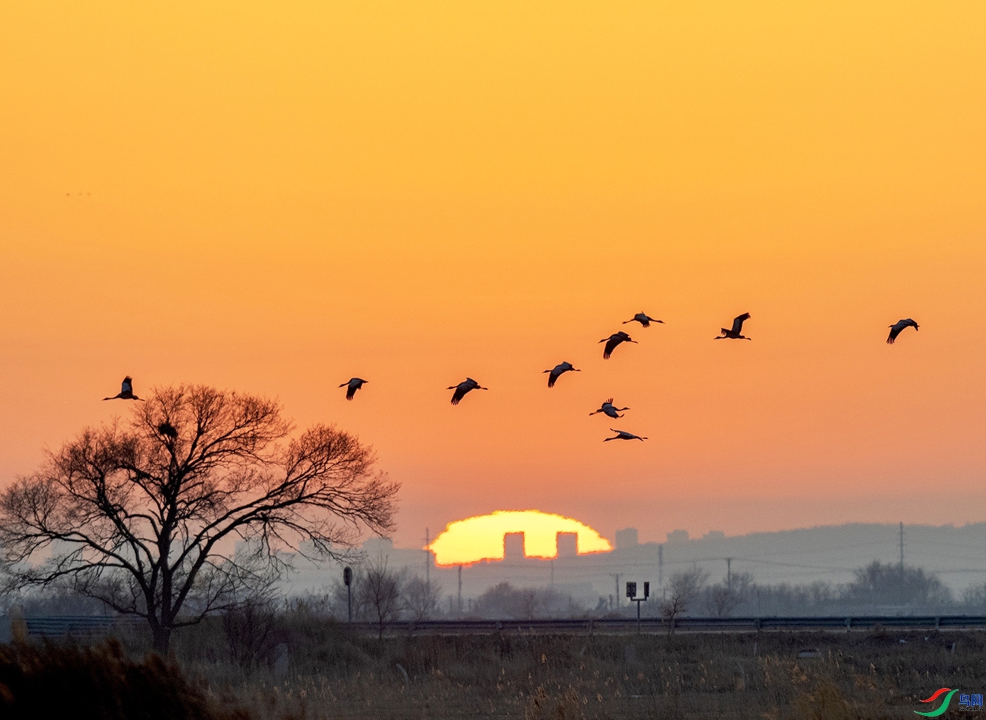 ϼ��Һ� ���� ������ǰ  ����.jpg