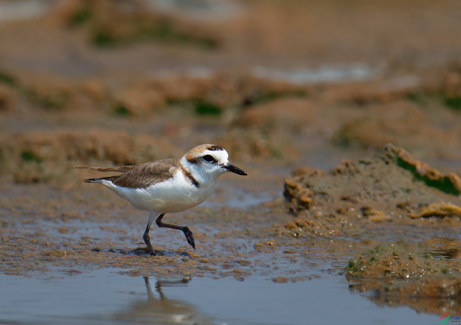 DSC_0757-1.jpg