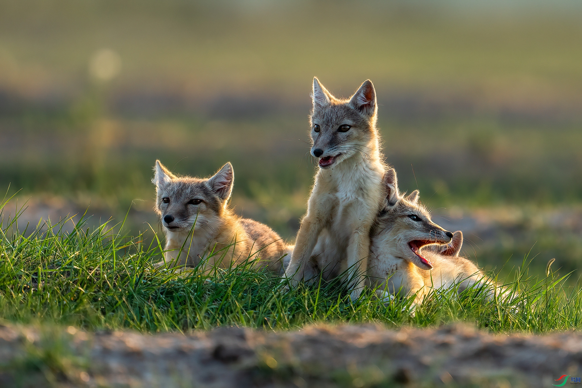 DSC01570-С ����.jpg