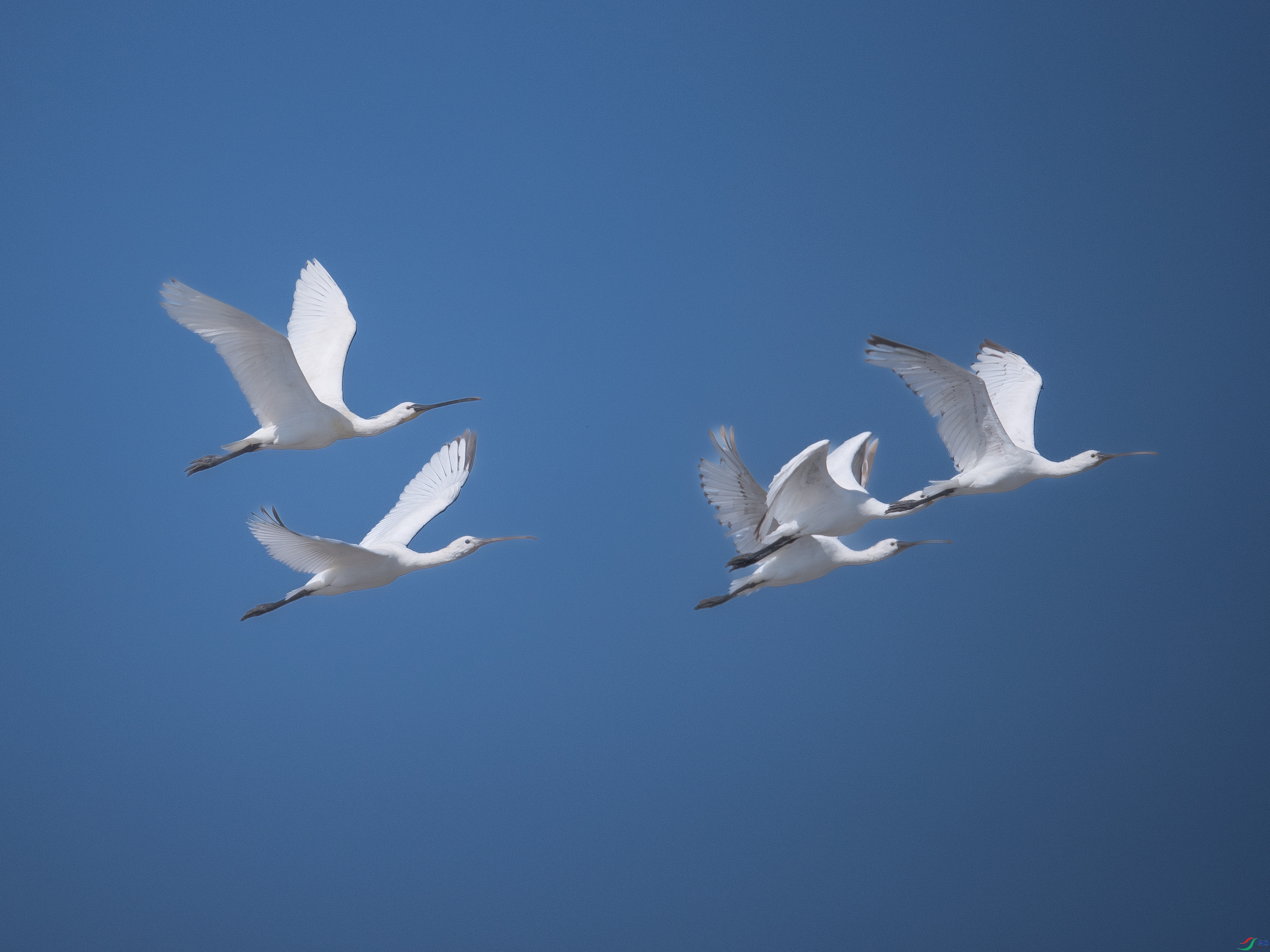 �����������Ʈ���ǰ���