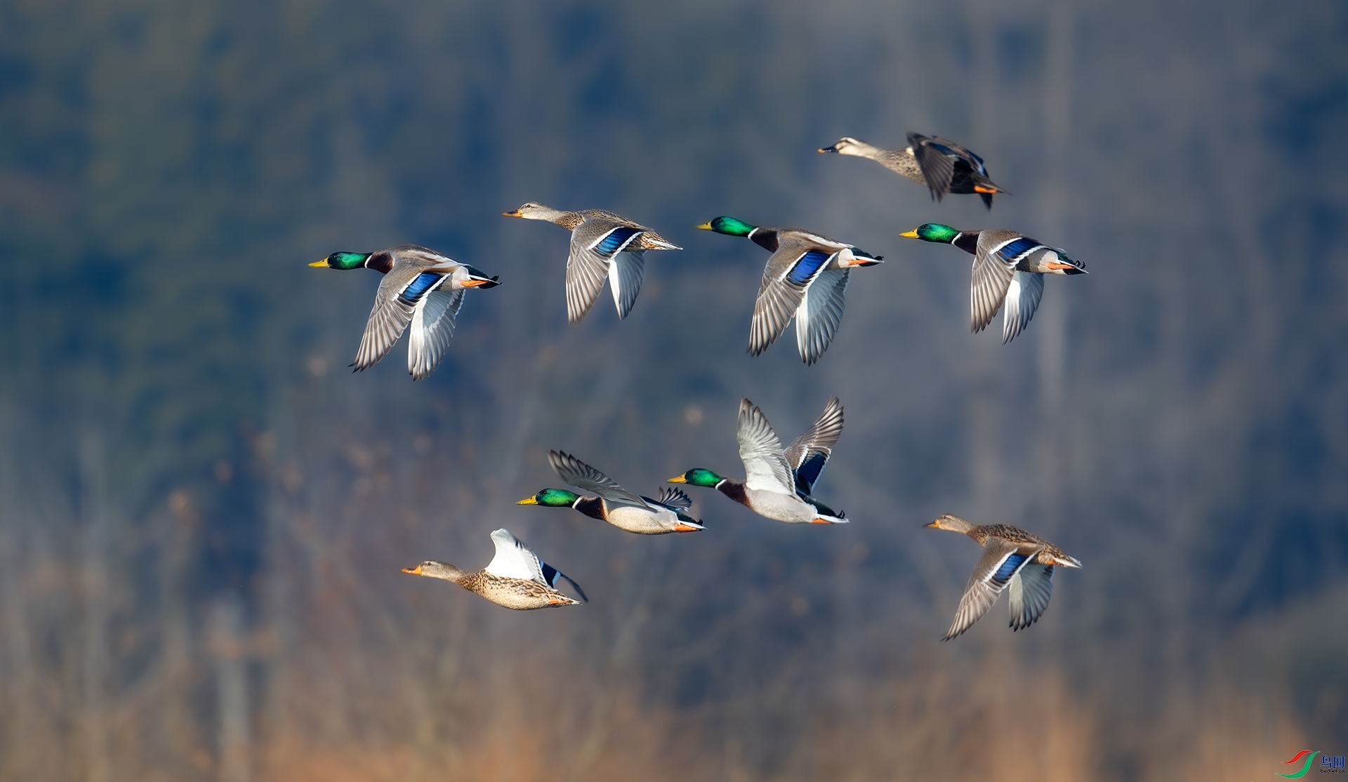 ����DSC_3250.jpg