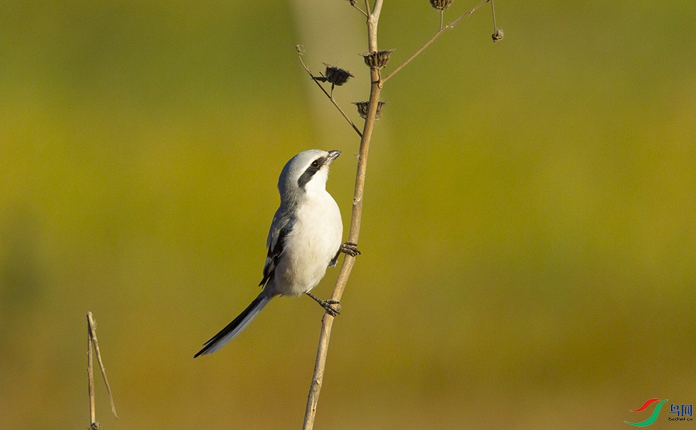 Шβ���� (2).jpg