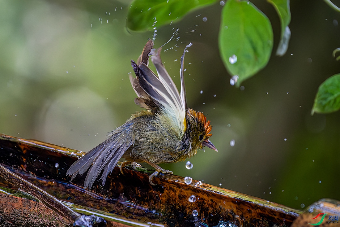 LZW05447-����ǿ-NR ����.jpg