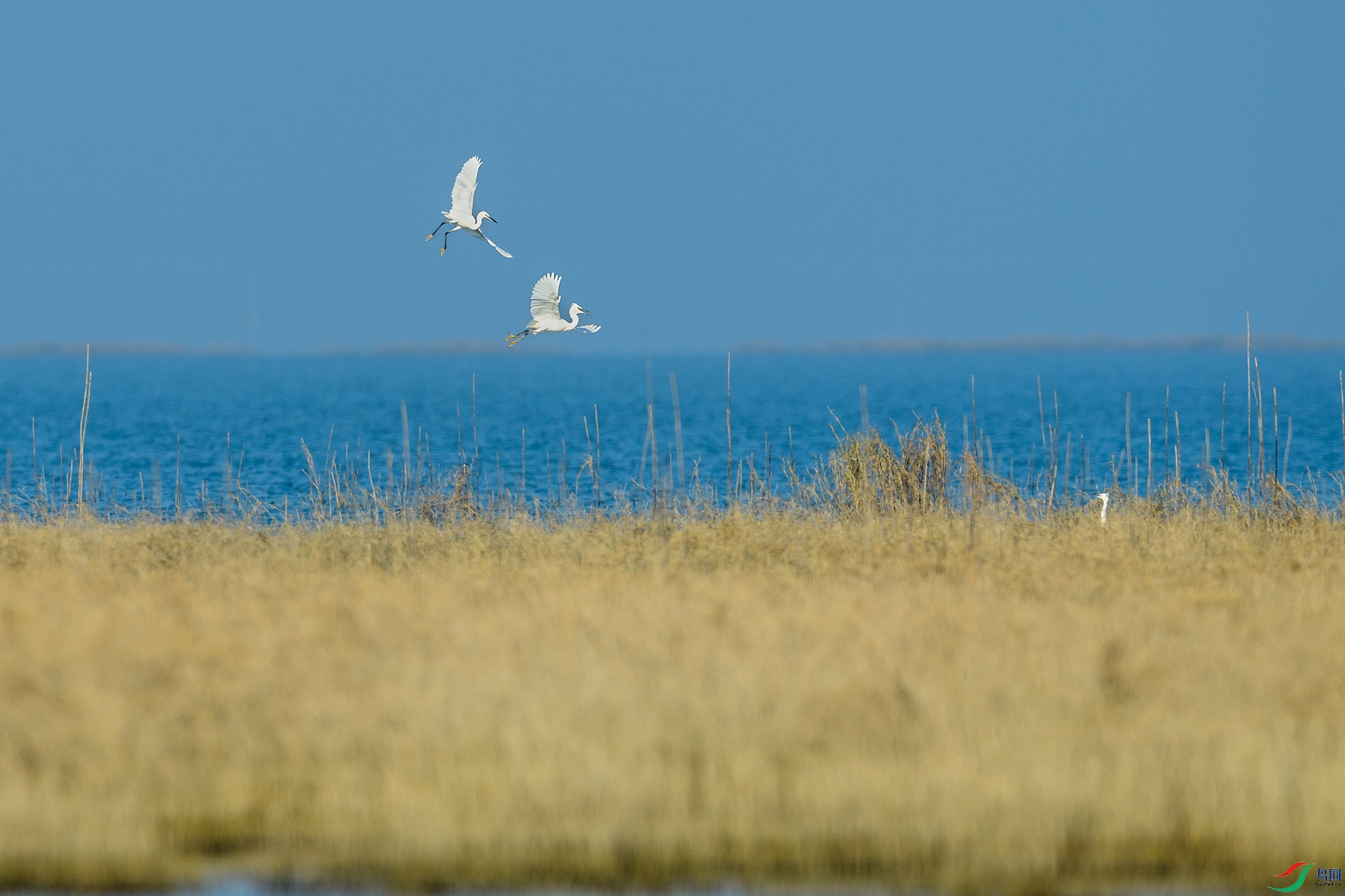 DSC_1084-1.jpg