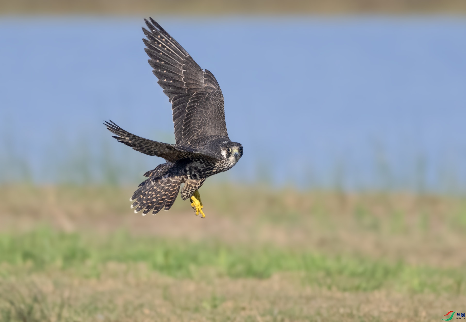 ��DSC_7145 ��ؐ.jpg