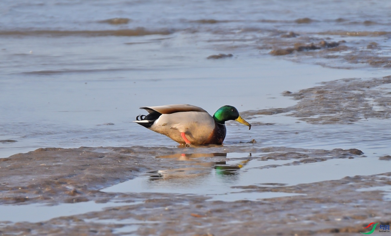 DSC_8925f.jpg