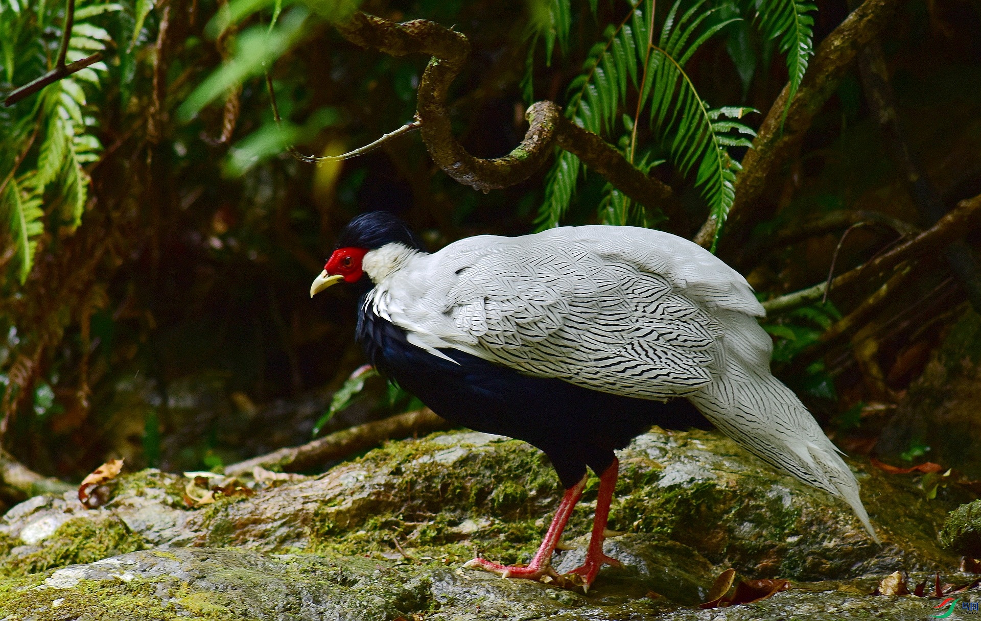 D8I_6051.jpg