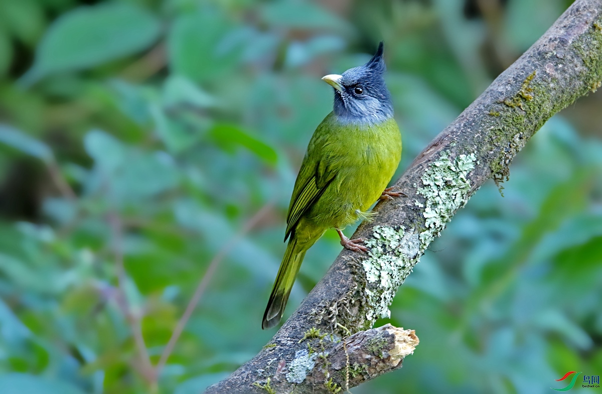 363A7000_����.jpg
