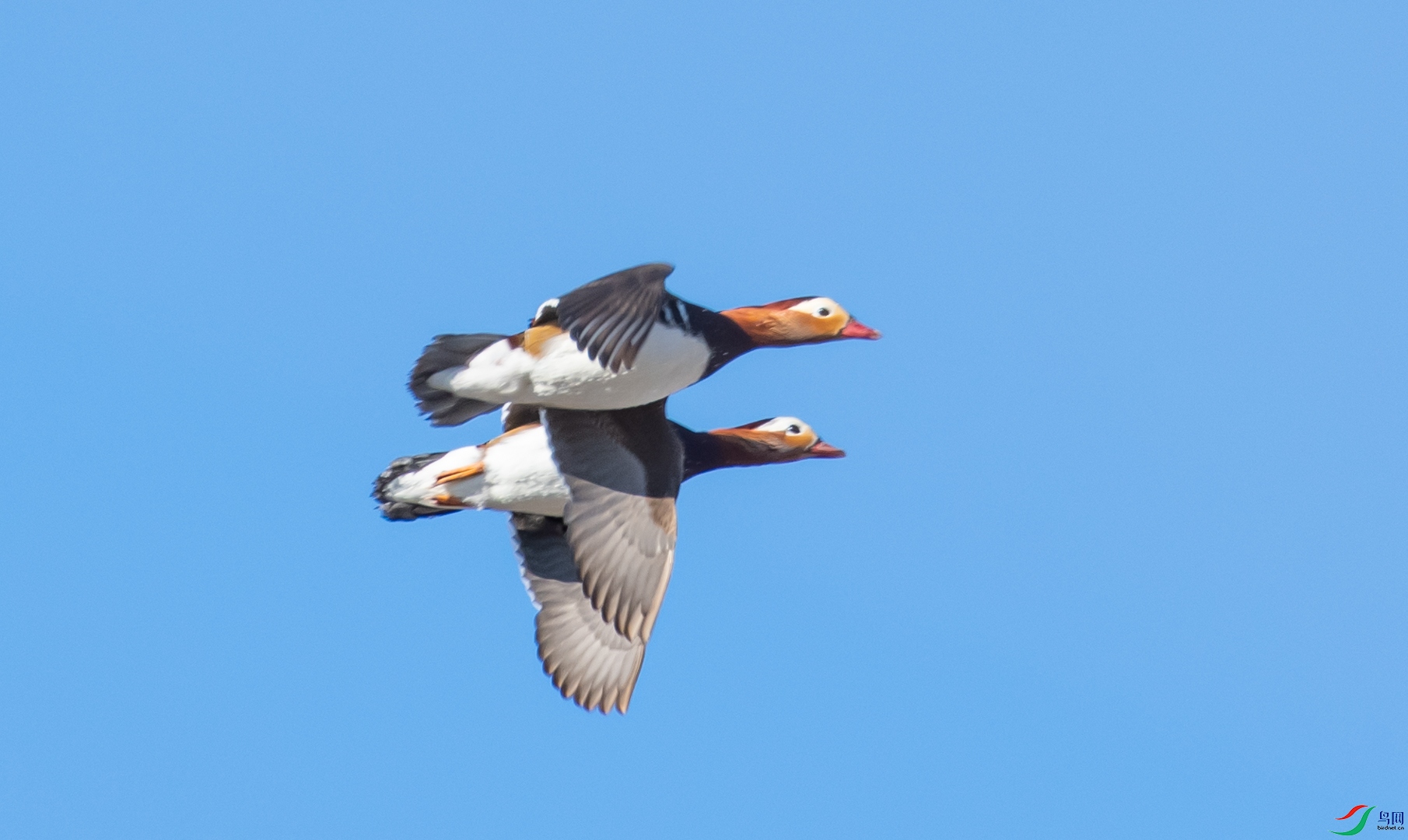 DSC_8047.jpg