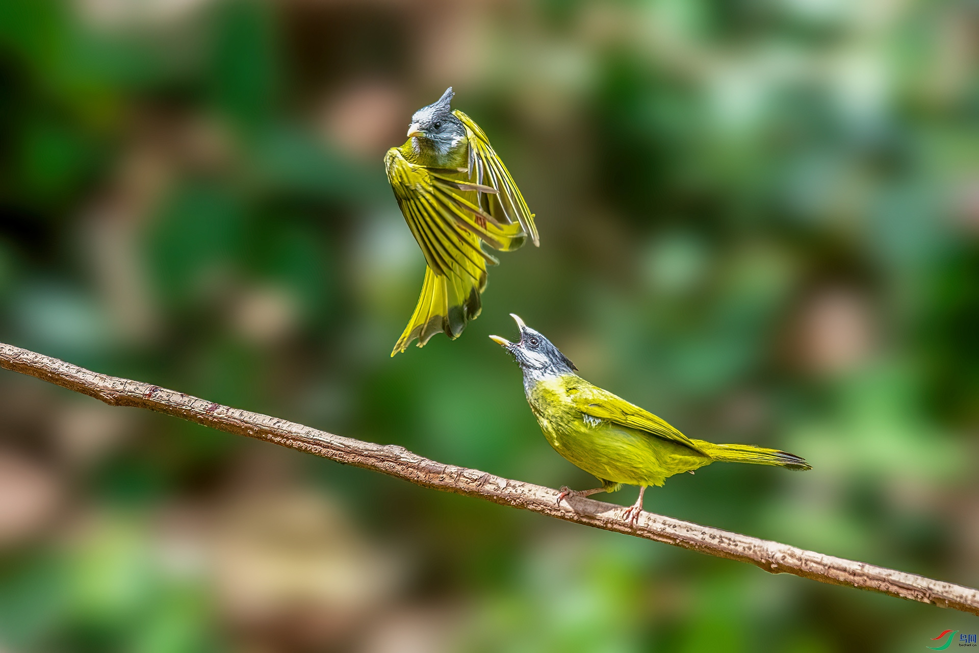 DSC_1141.jpg