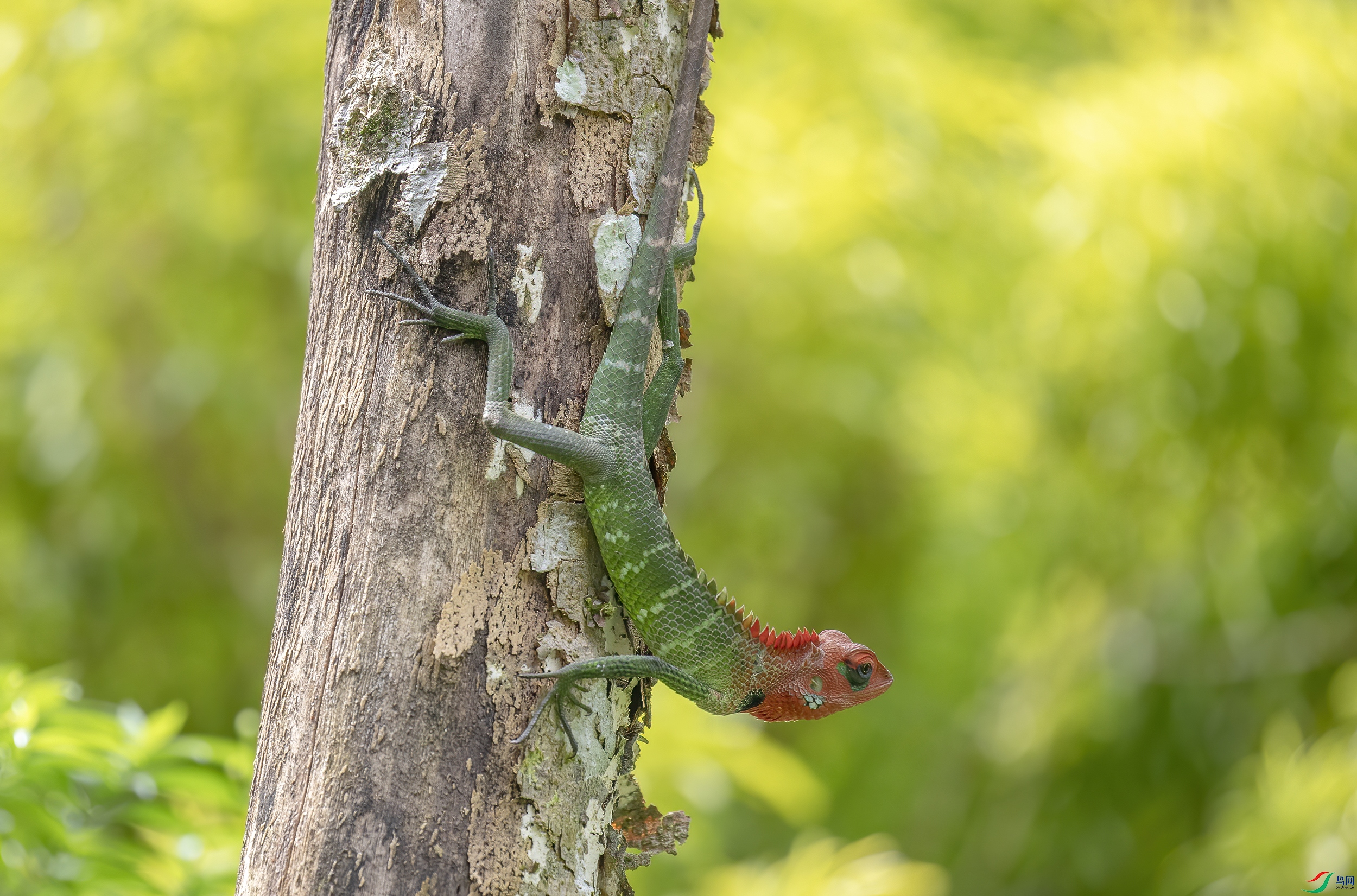 CB0A0093 ����.jpg