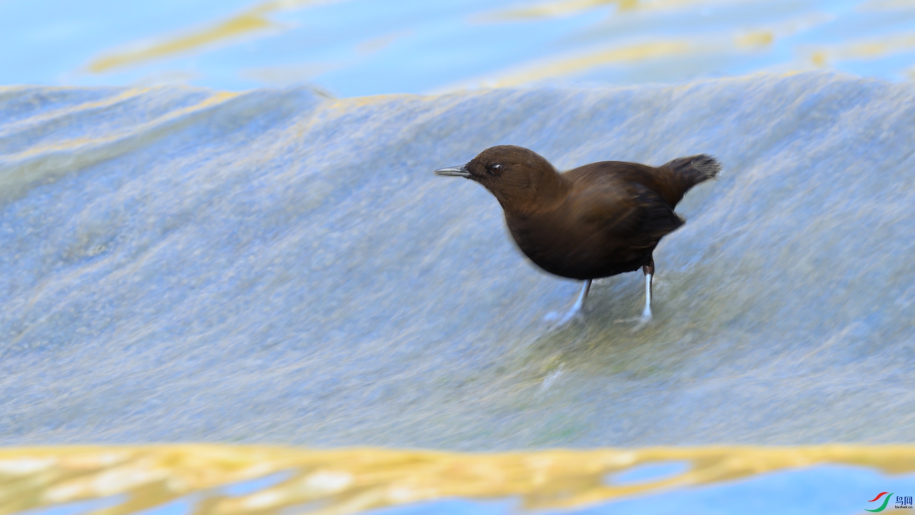 _DSC5626 ���� - ����.jpg