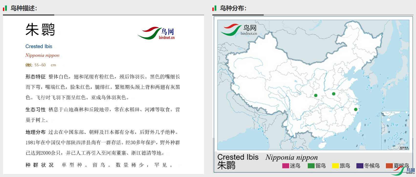 9f53ea50eea95afd8821787c1fd14d8.png