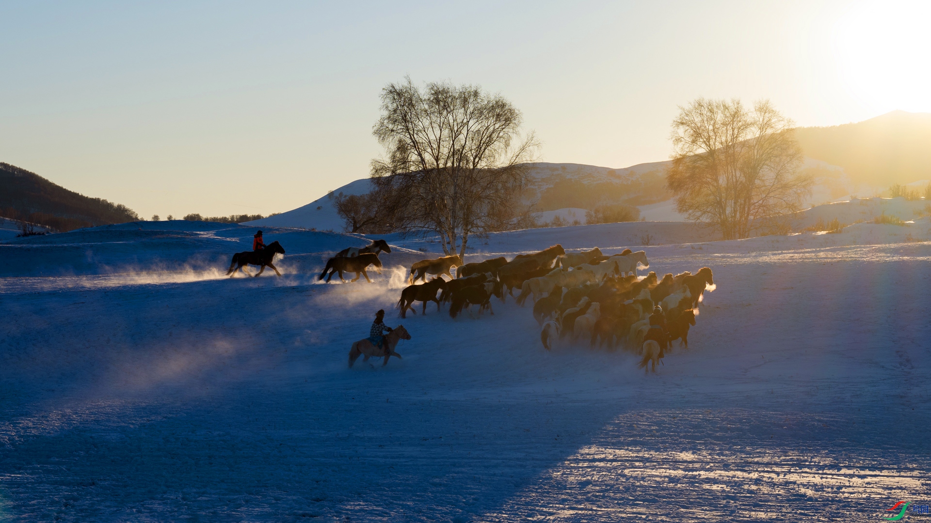 _DSC6048==1w.jpg