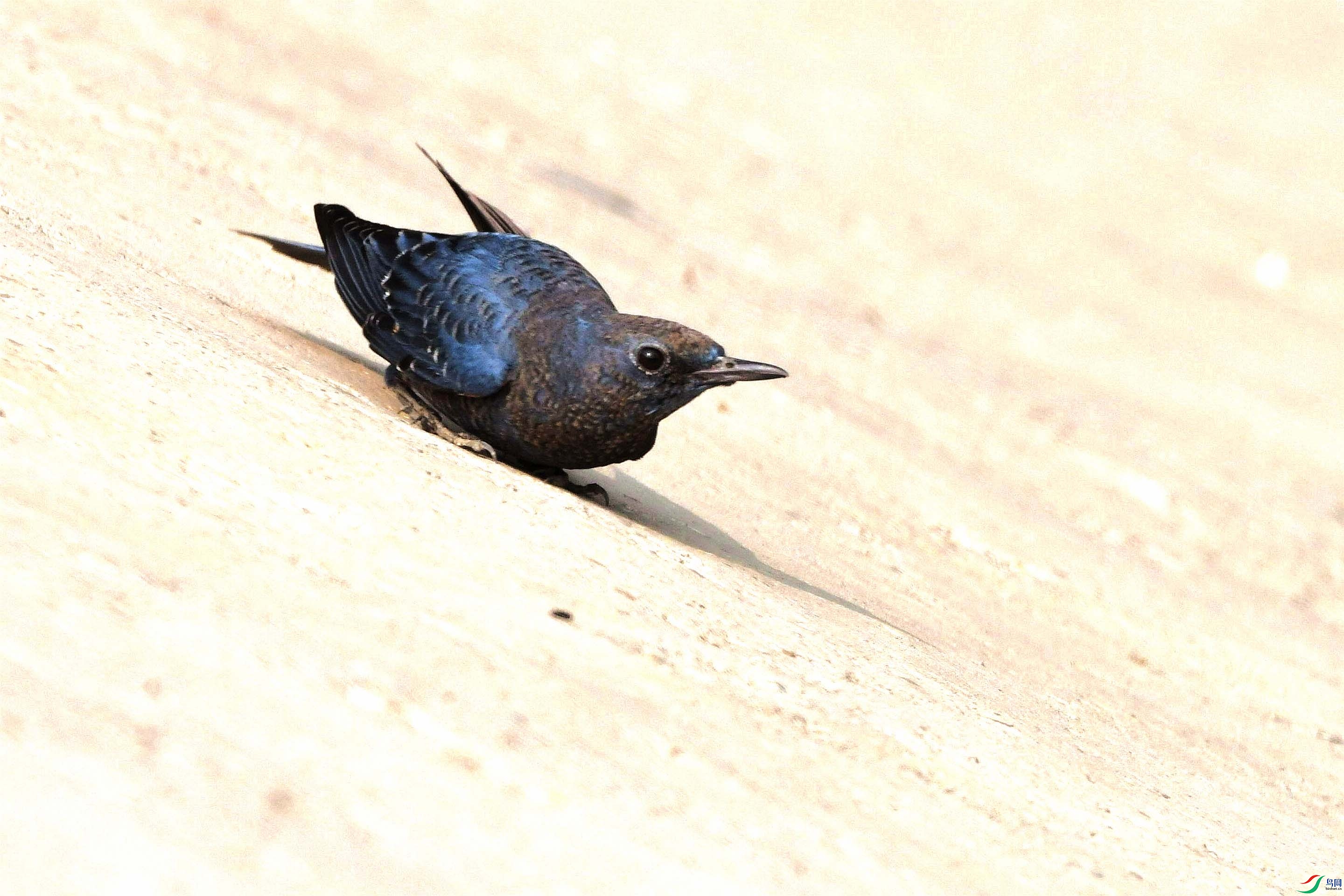 DSC_2728_����.jpg