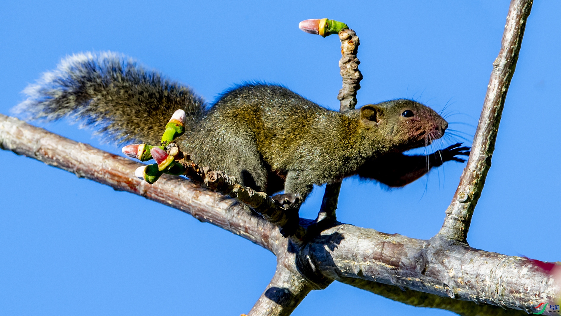 9588 ���� 2.jpg