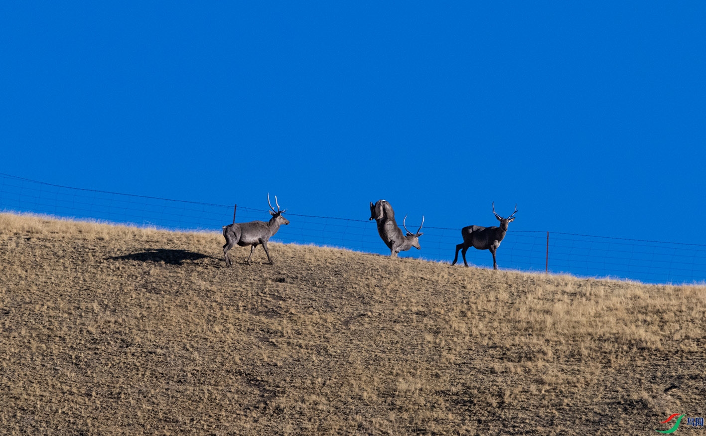 _DSC9297.jpg