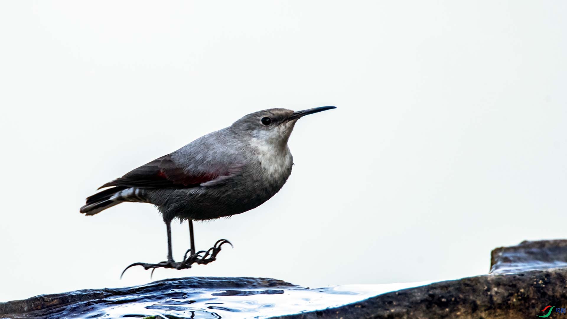 �������ȸ