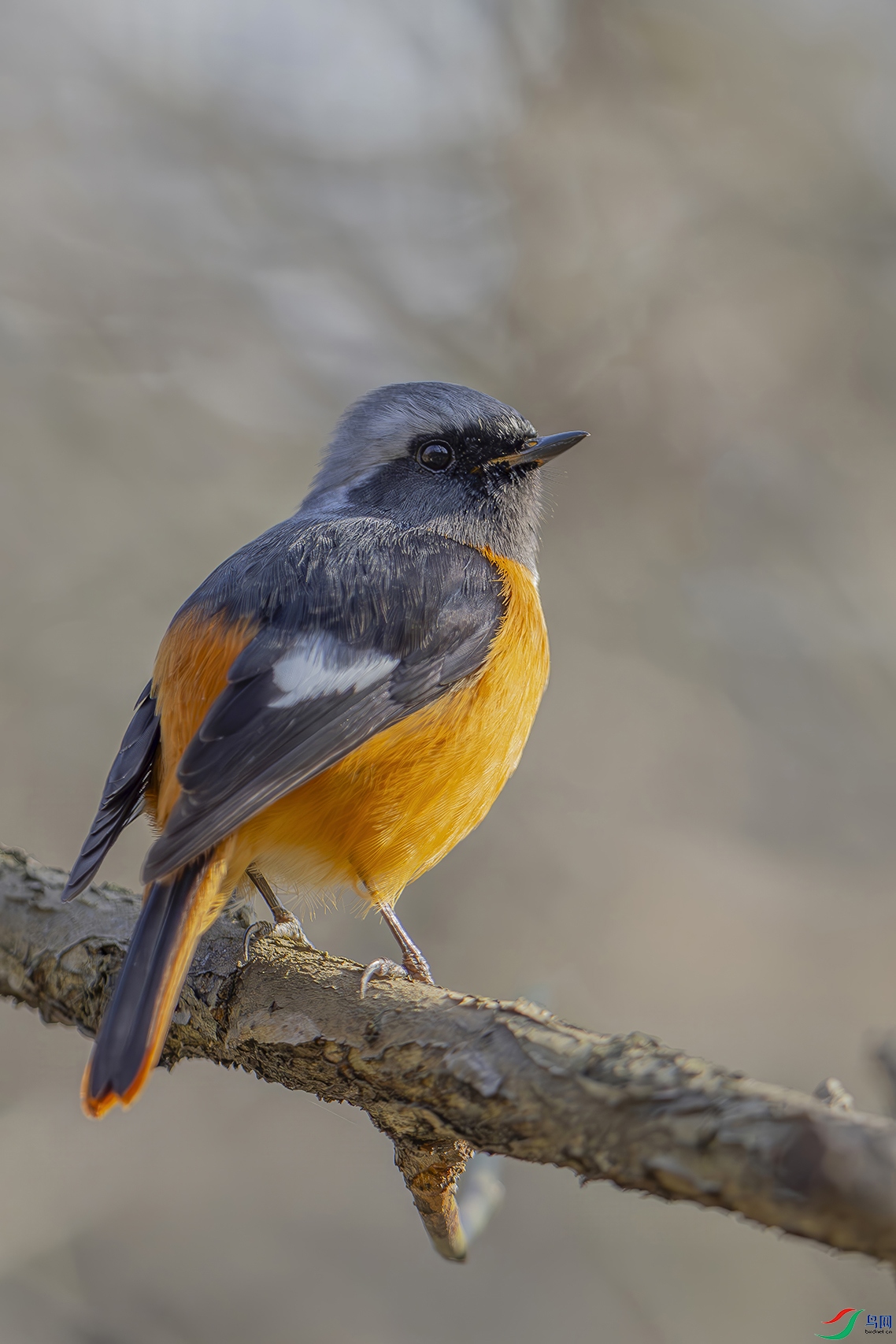 0002.jpg
