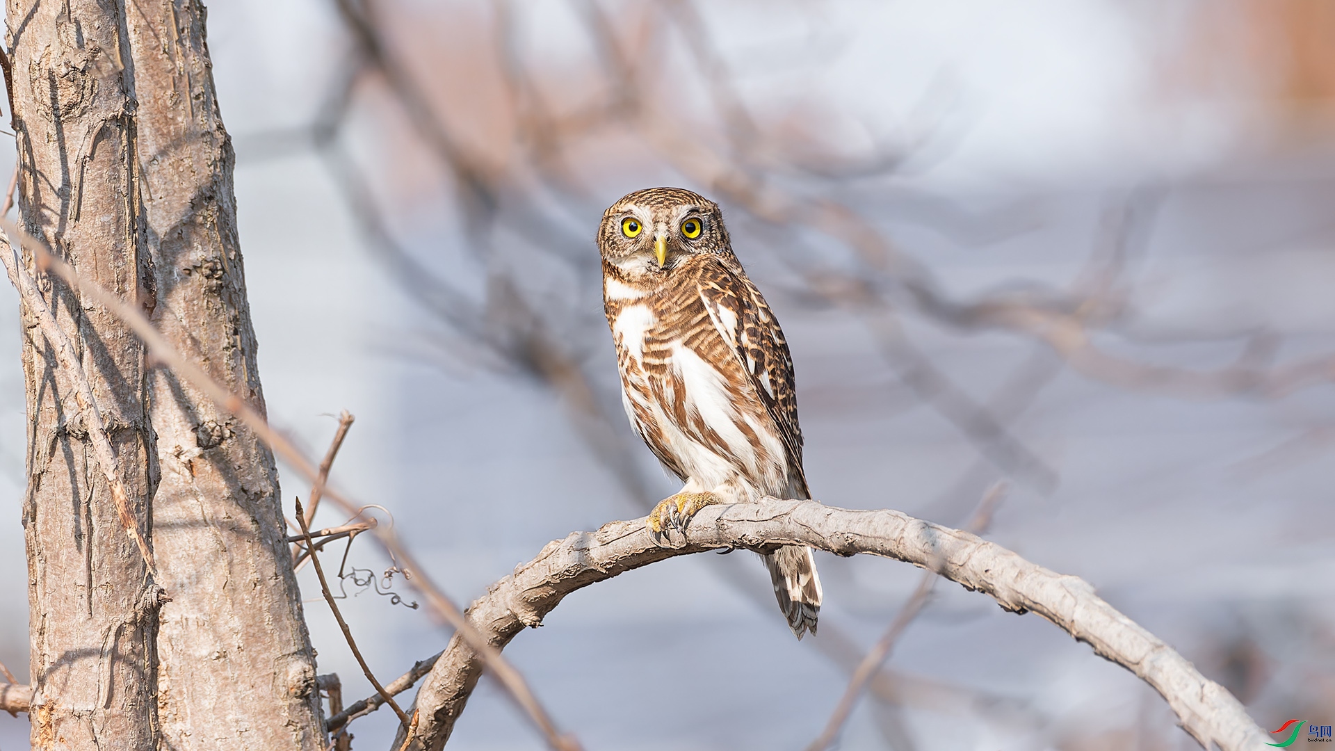 DSC_9192.jpg