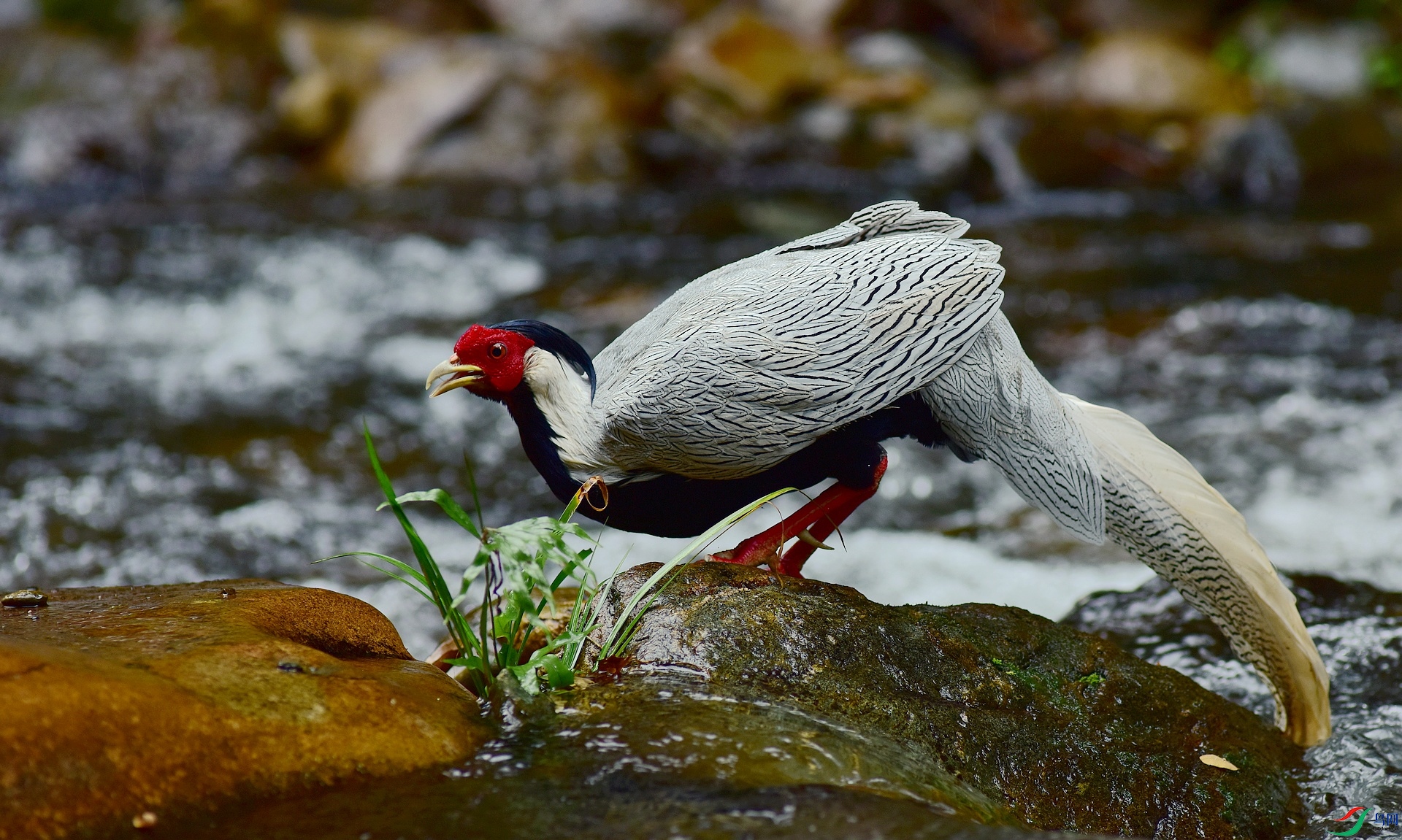 D8I_5650.jpg