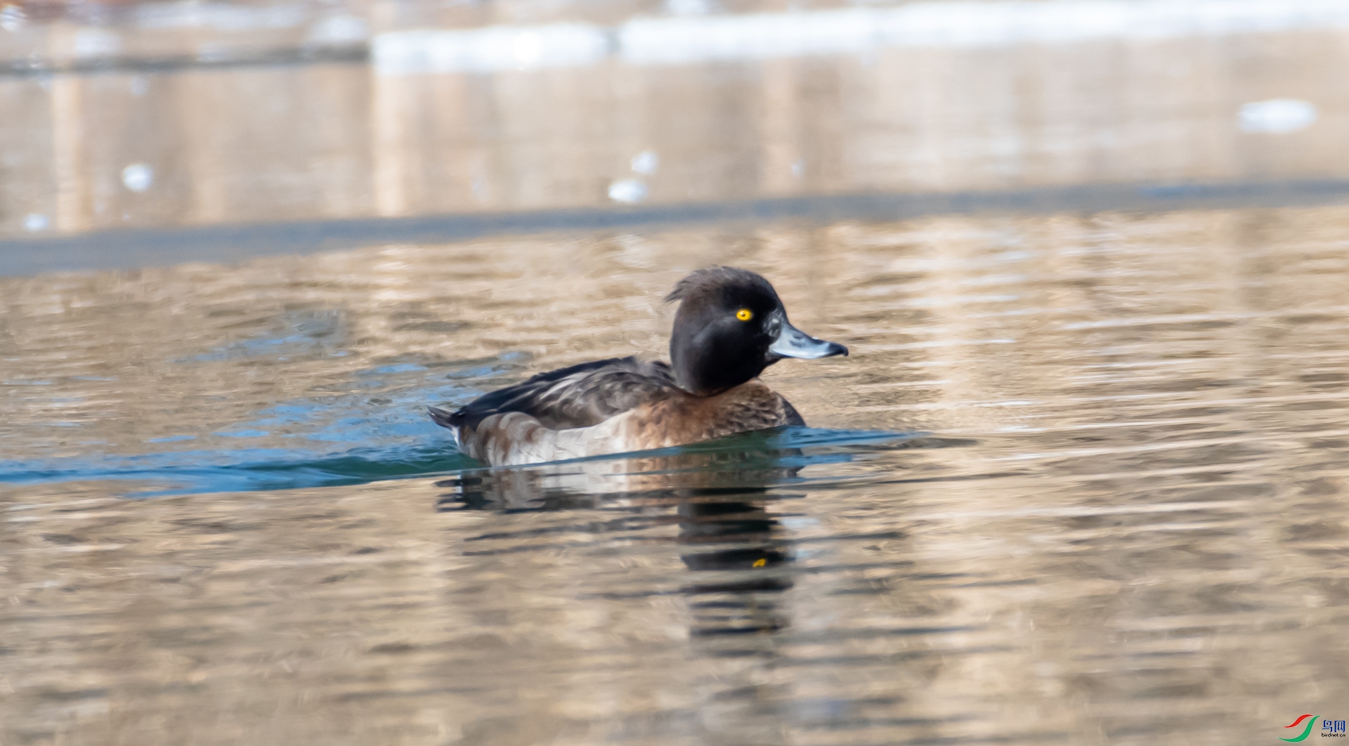 DSC_8995.jpg