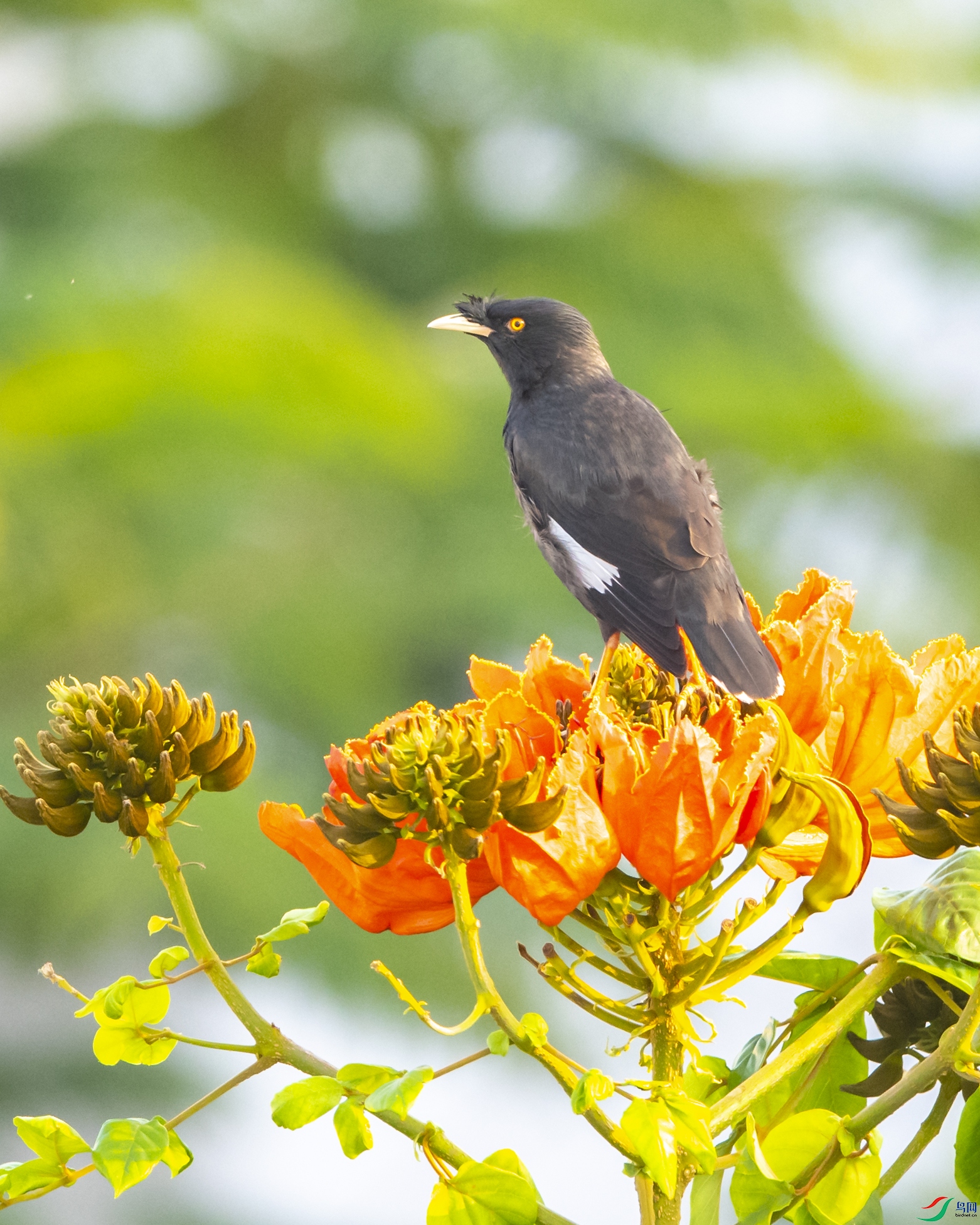 8399 ����.jpg