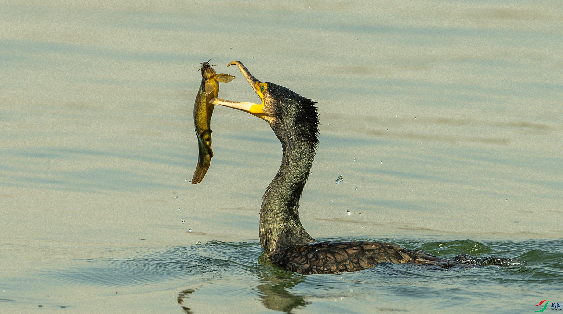 1759 ����.jpg