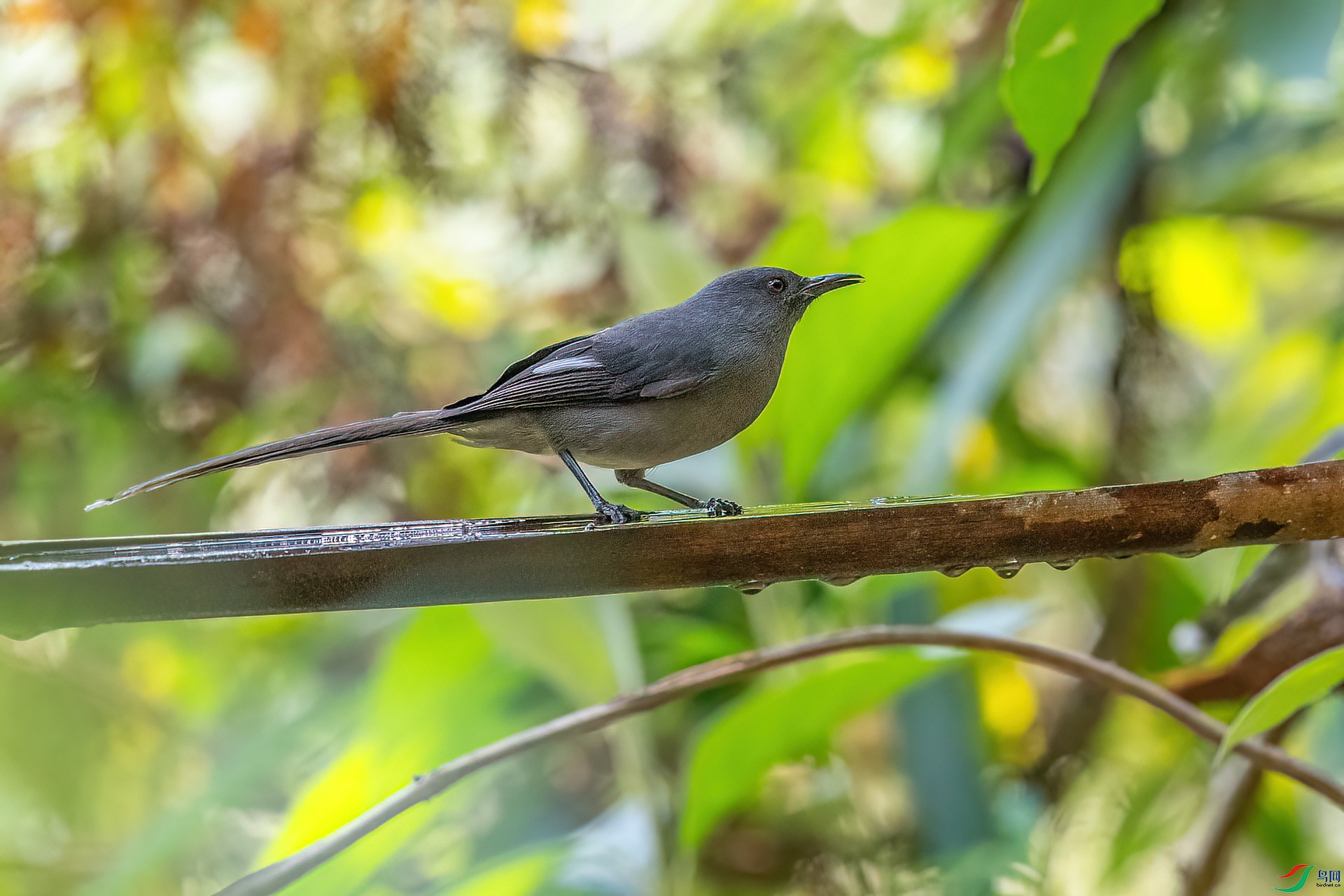 DSC_2546.jpg