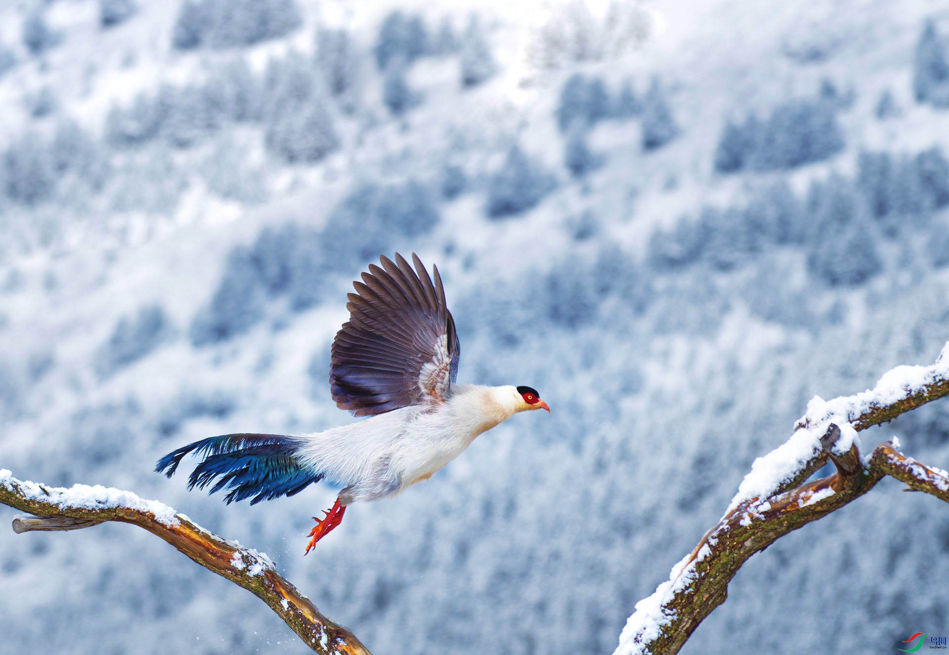 DSC_7551-1.jpg