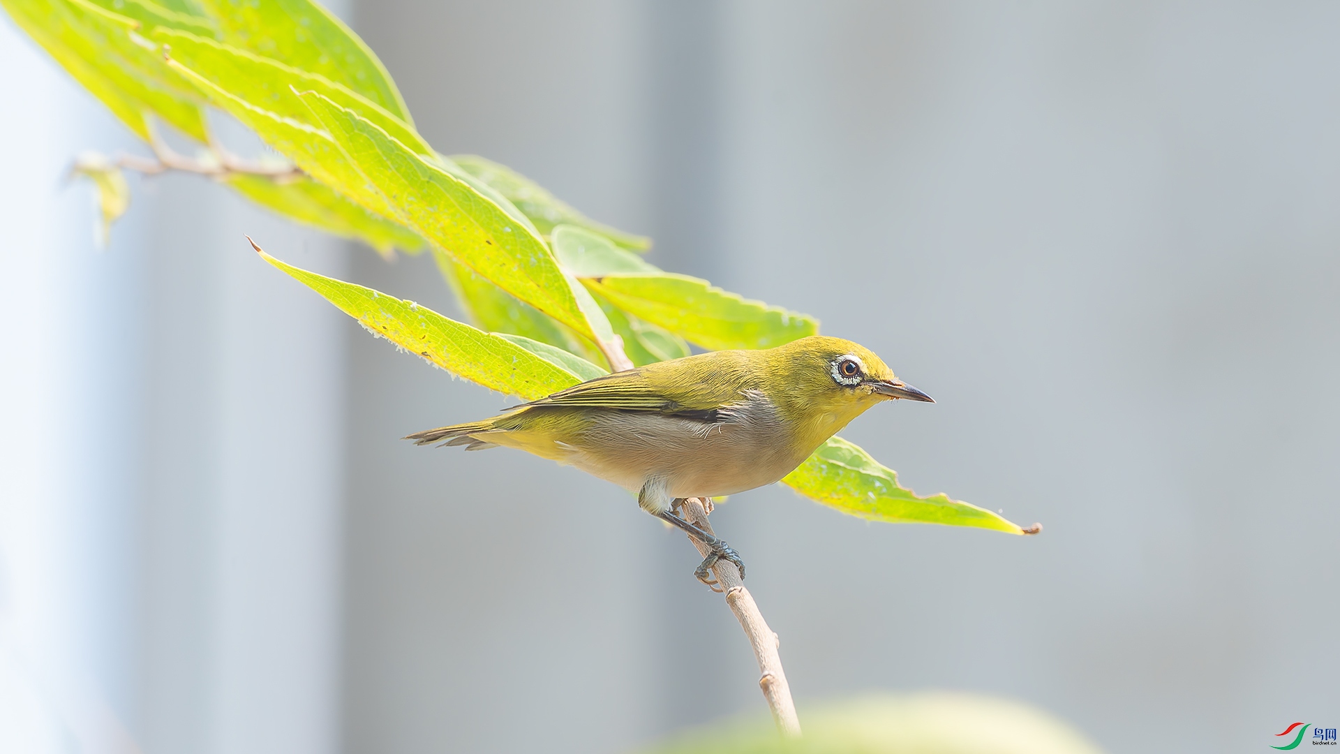 DSC_9624.jpg