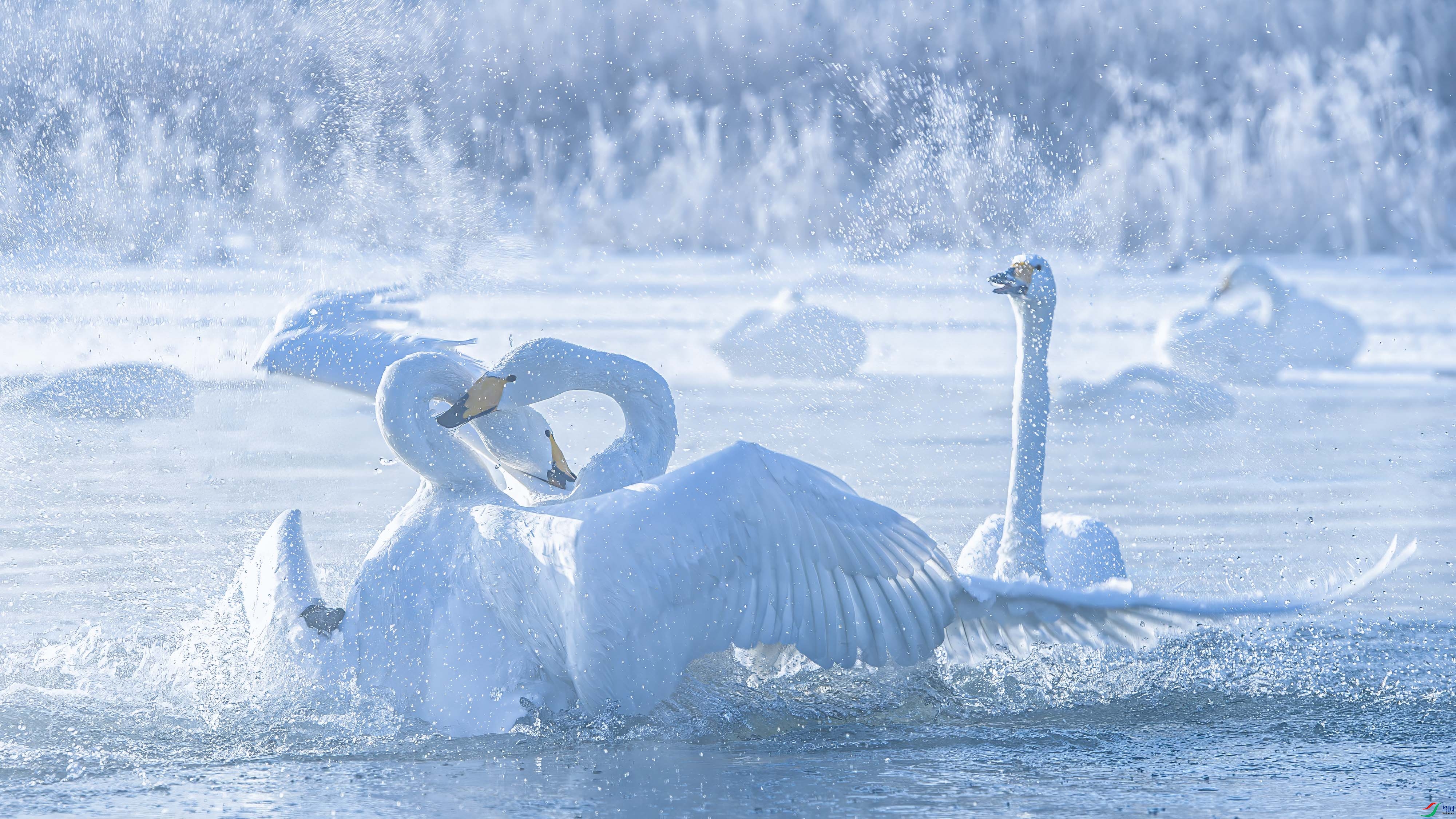 DSC_5407-����ǿ-NR ���� 2.jpg