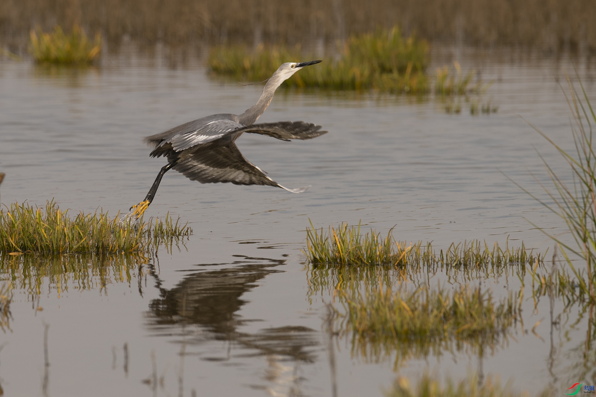 XQD_6086 ����.jpg