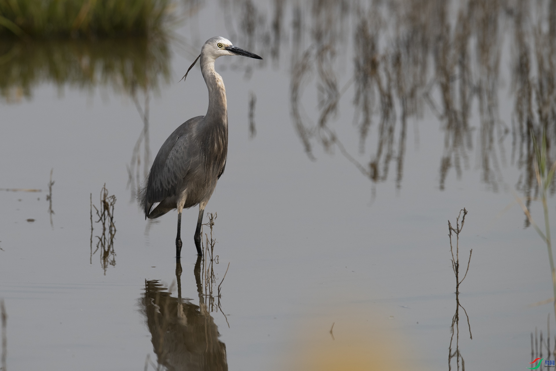 XQD_6094 ����.jpg