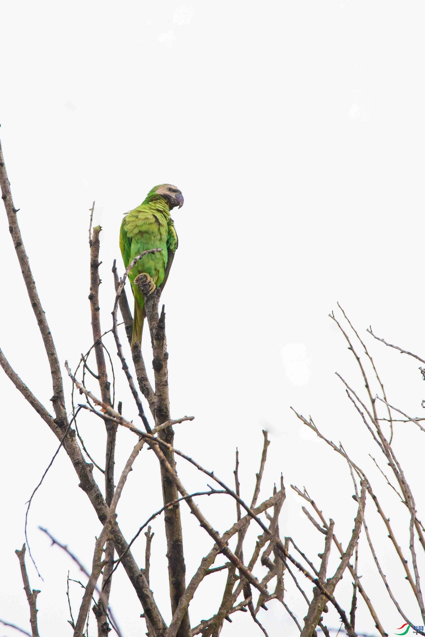 DSC_1304ab.jpg