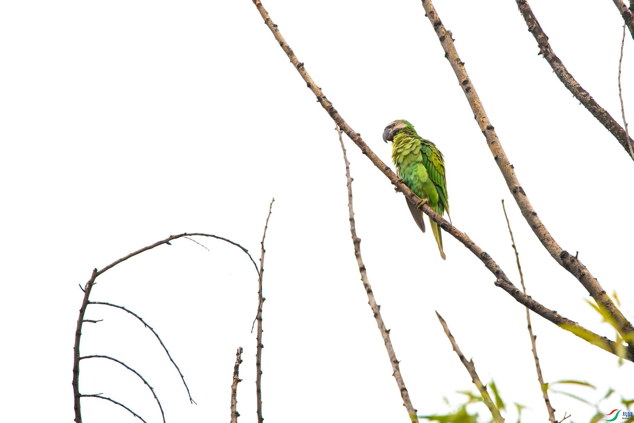 DSC_1347ab.jpg