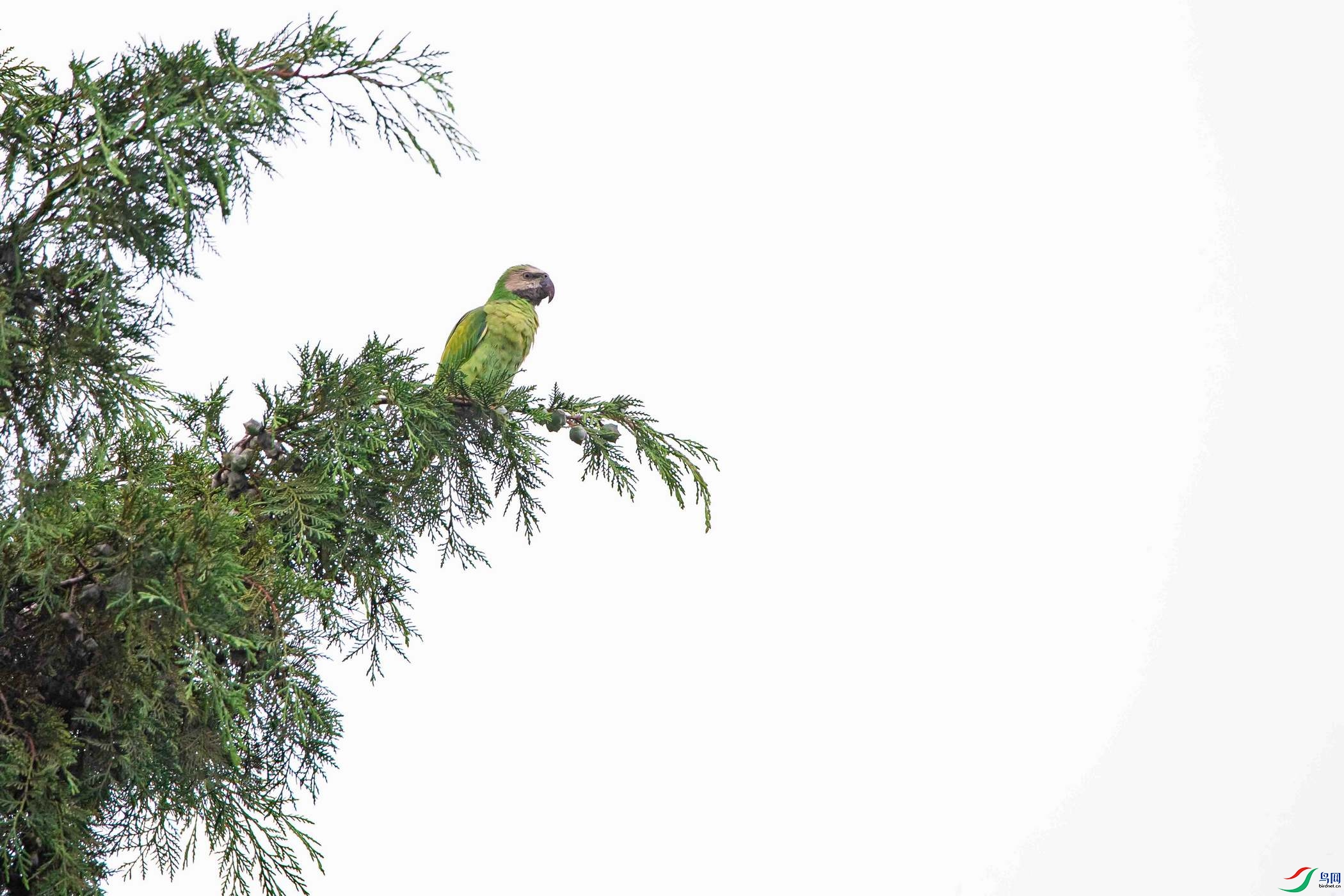 DSC_1443ab.jpg